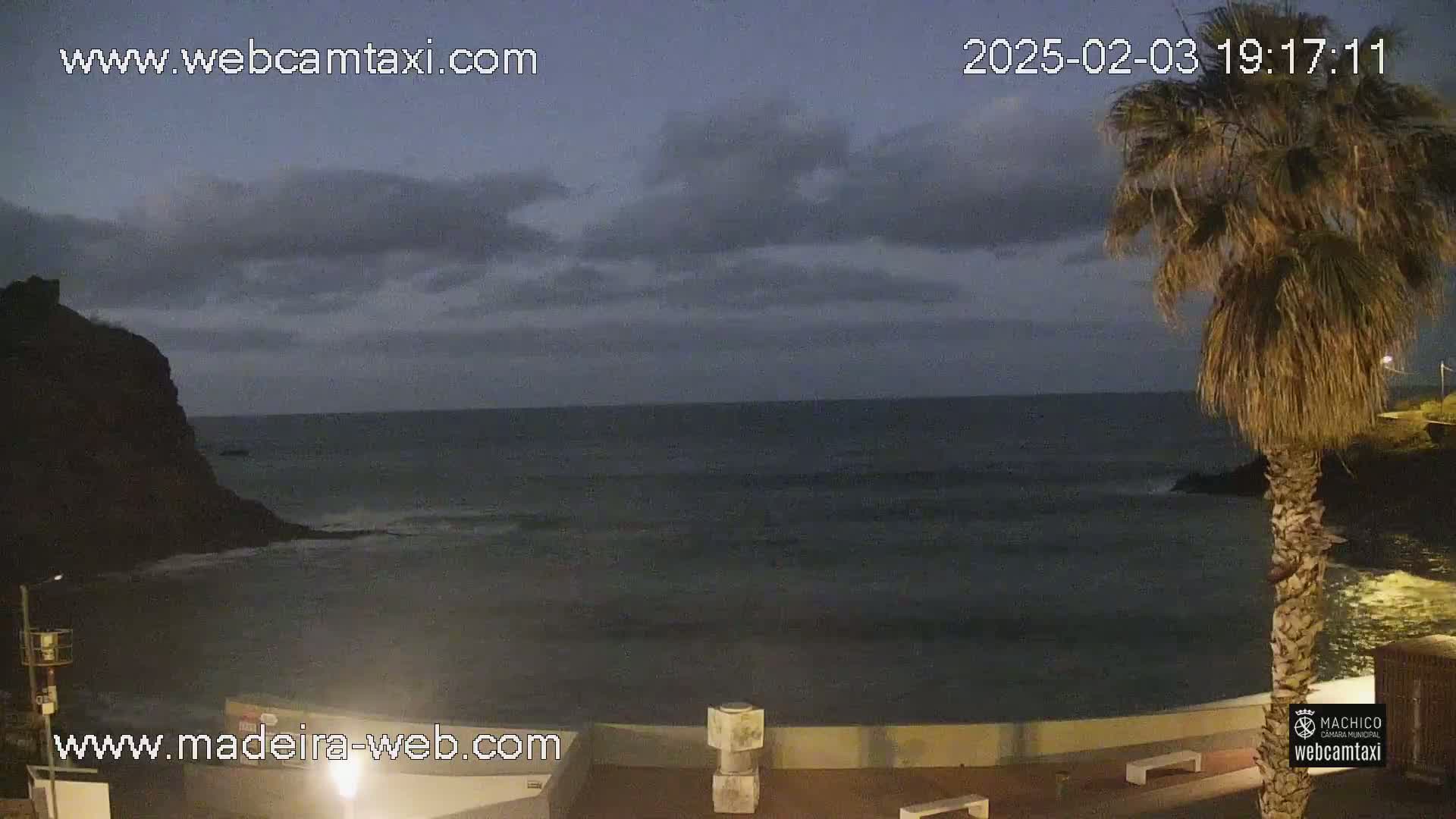 A dark, cloudy evening scene shows a calm ocean next to a rocky shore with a palm tree in the foreground.
