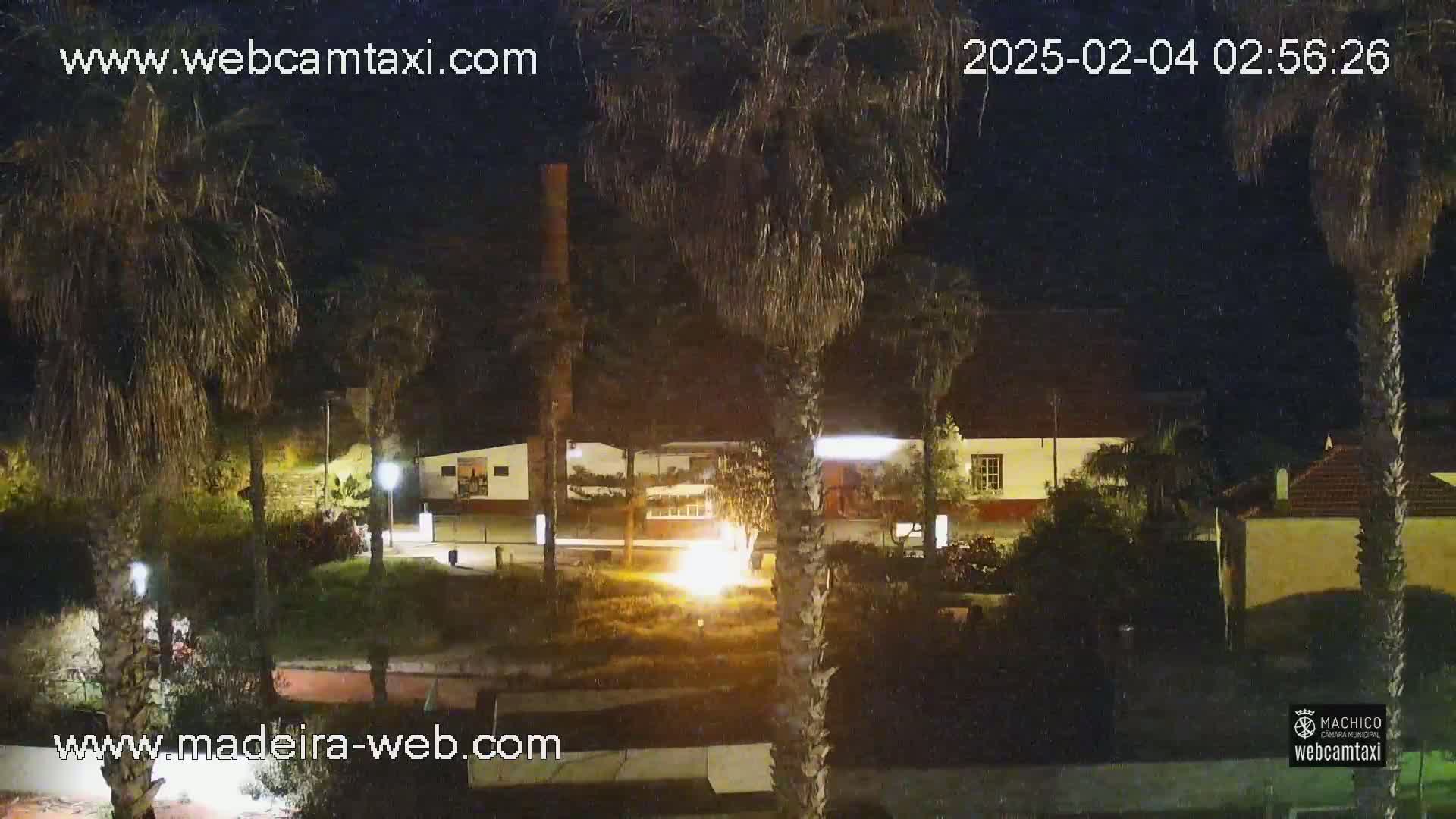 At night, a brightly lit building stands amidst palm trees under a clear, dark sky.