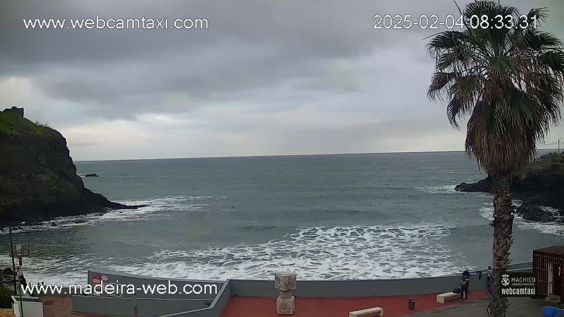 A rocky coast with a palm tree overlooks a choppy ocean under an overcast sky.