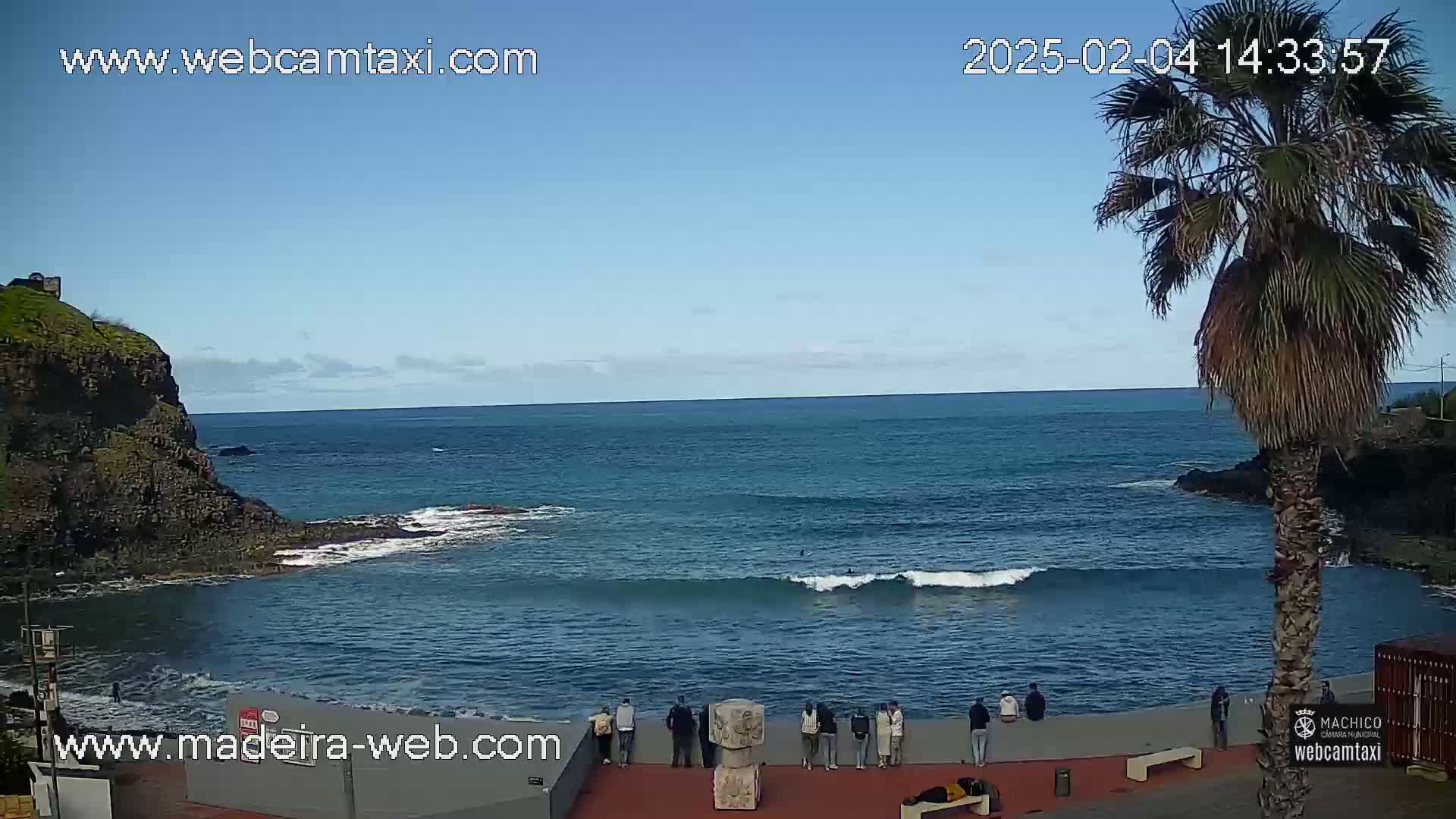 A sunny day at a rocky cove with a calm ocean, showing several people standing near a wall by the water, with a palm tree nearby.