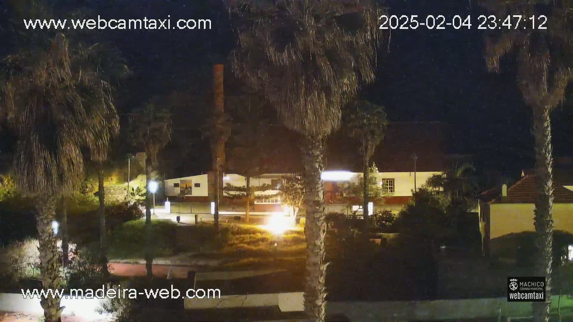 A nighttime view of a building complex surrounded by palm trees under a clear, dark sky.