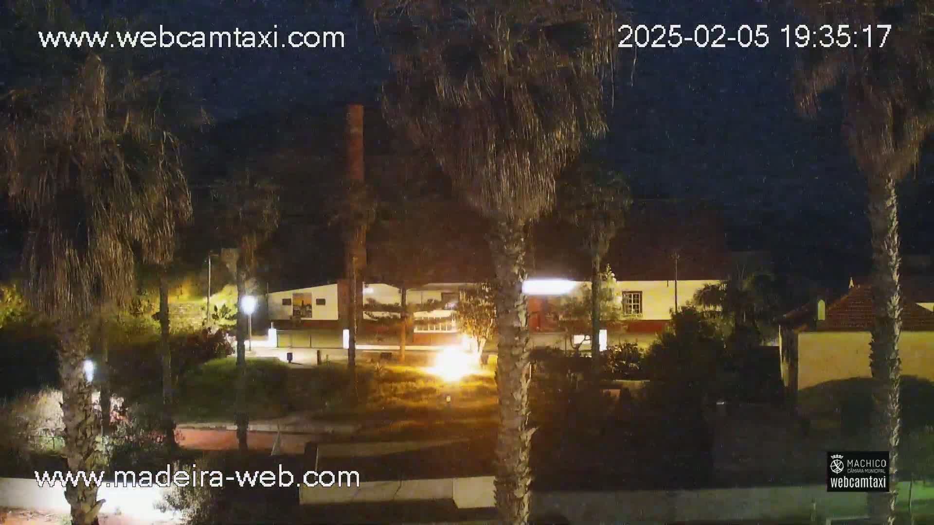 A nighttime view of a palm tree-lined area with a building illuminated, under a clear, dark sky.