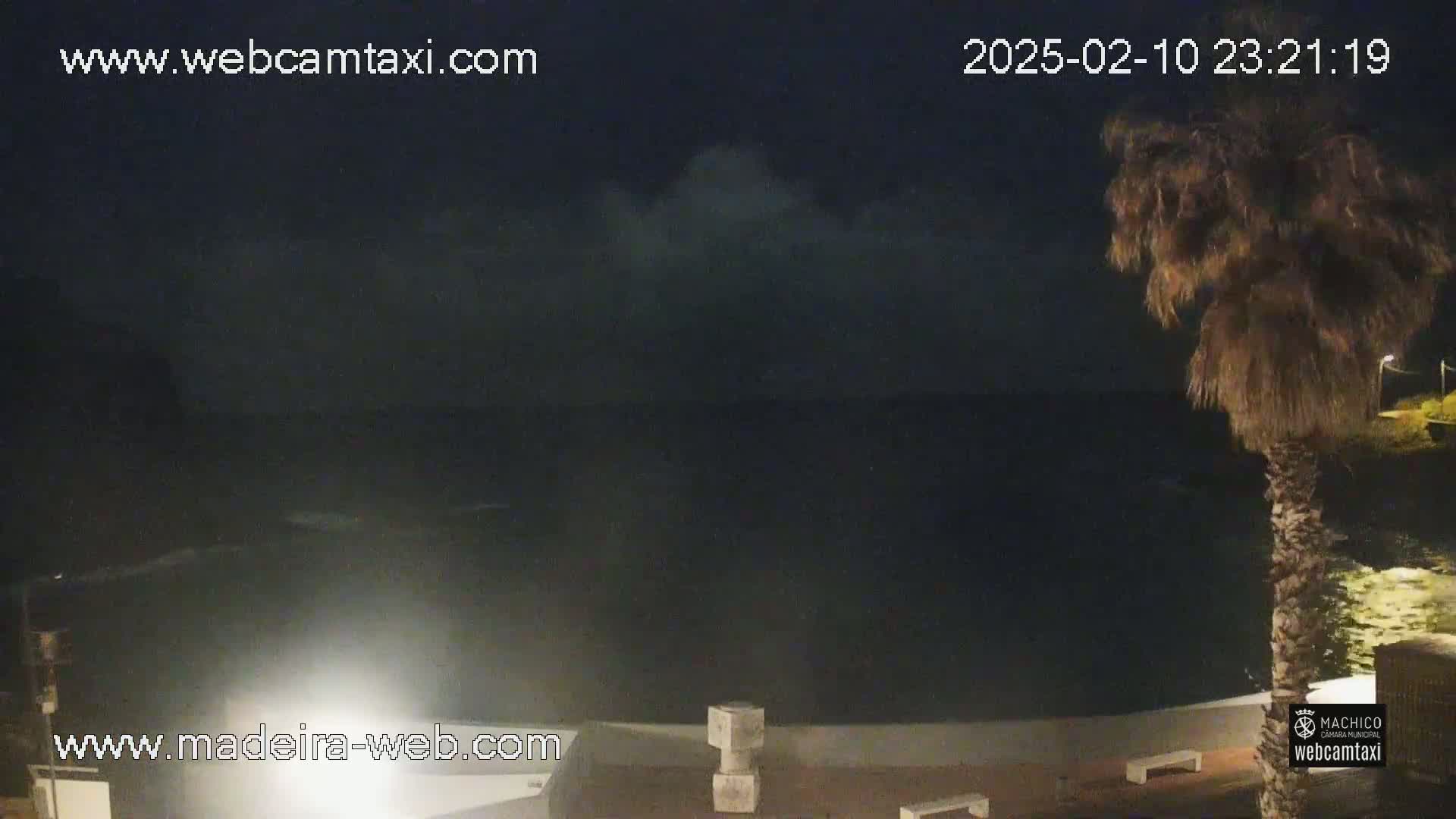 A nighttime, dark view of a body of water under a cloudy sky, with a palm tree and some structures visible in the foreground.