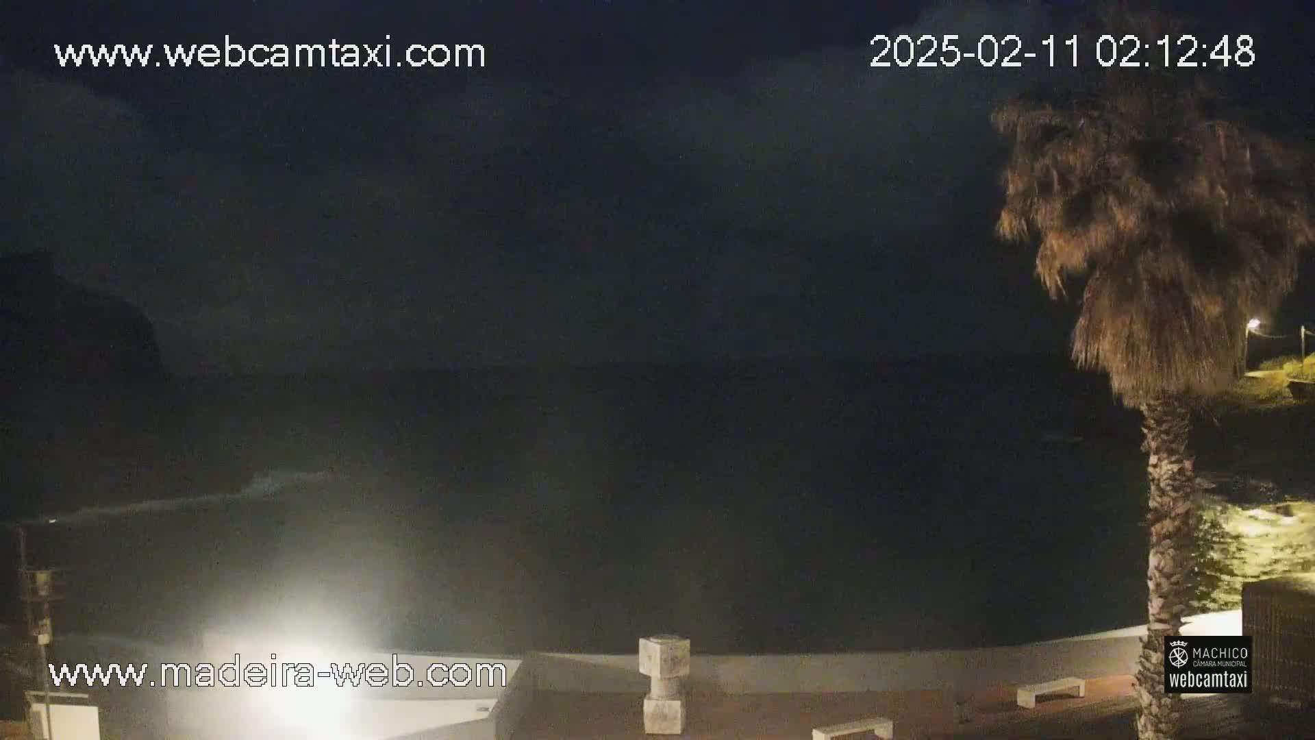 A nighttime seaside view shows dark water under a mostly cloudy sky, with a palm tree in the foreground and a paved area with benches.