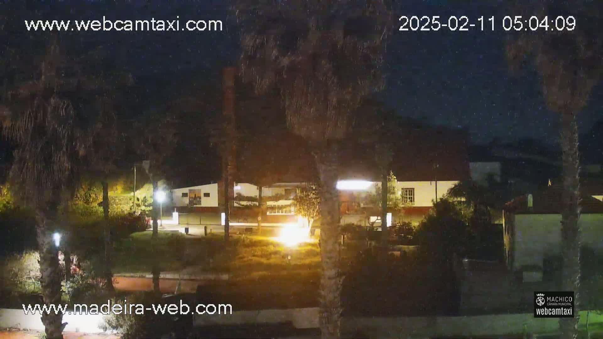A nighttime, lightly snowing scene shows a building illuminated with lights, surrounded by palm trees and a grassy area.