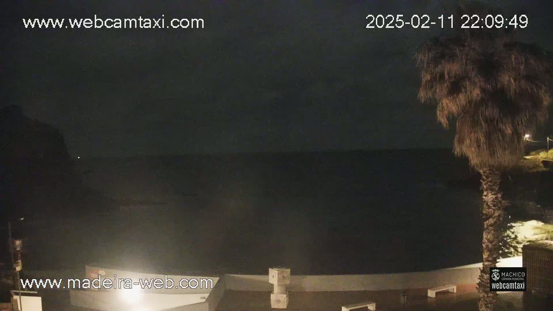 A nighttime view of a dark ocean, a palm tree, and part of a building under a clear, dark sky.