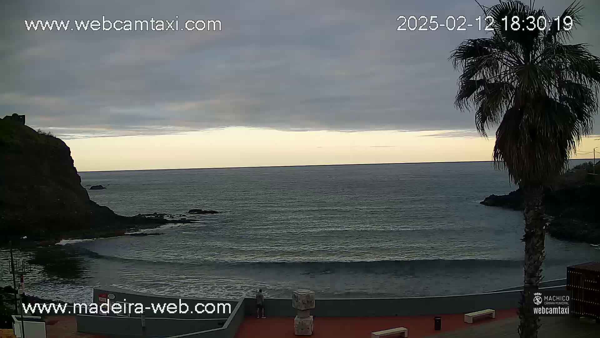 A calm ocean meets a rocky shoreline under a mostly cloudy, twilight sky, with a palm tree standing near a paved area.