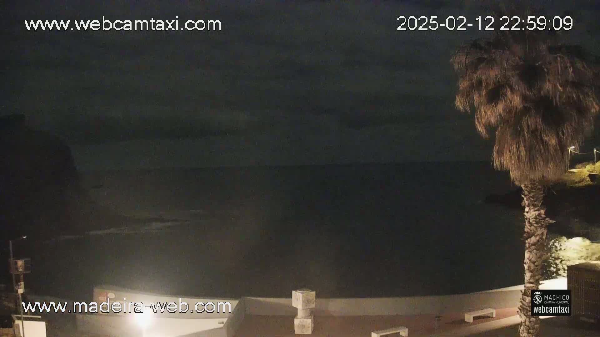 A nighttime coastal scene shows a dark ocean under a cloudy sky, with a palm tree silhouetted against the water and a paved area with light-colored structures nearby.