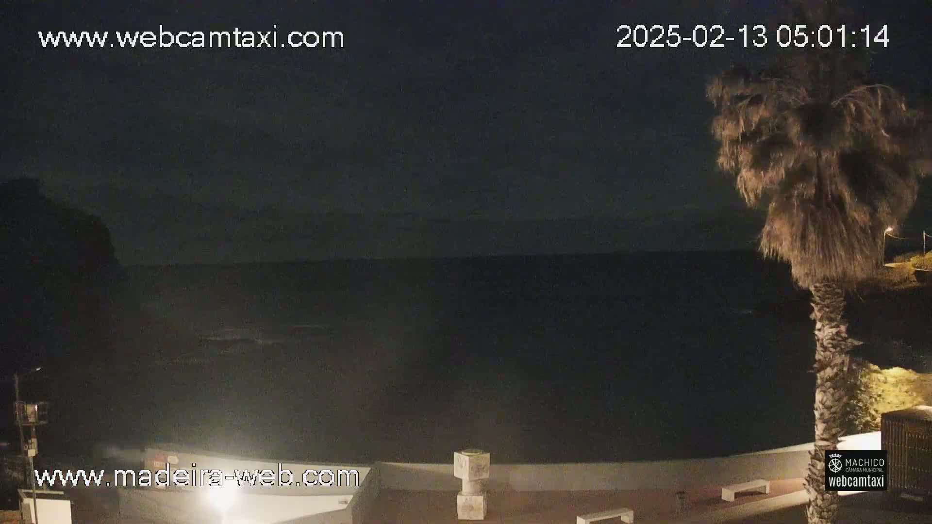 A nighttime coastal scene shows a dark ocean under a mostly clear, dark sky, with a palm tree in the foreground and a low light level.