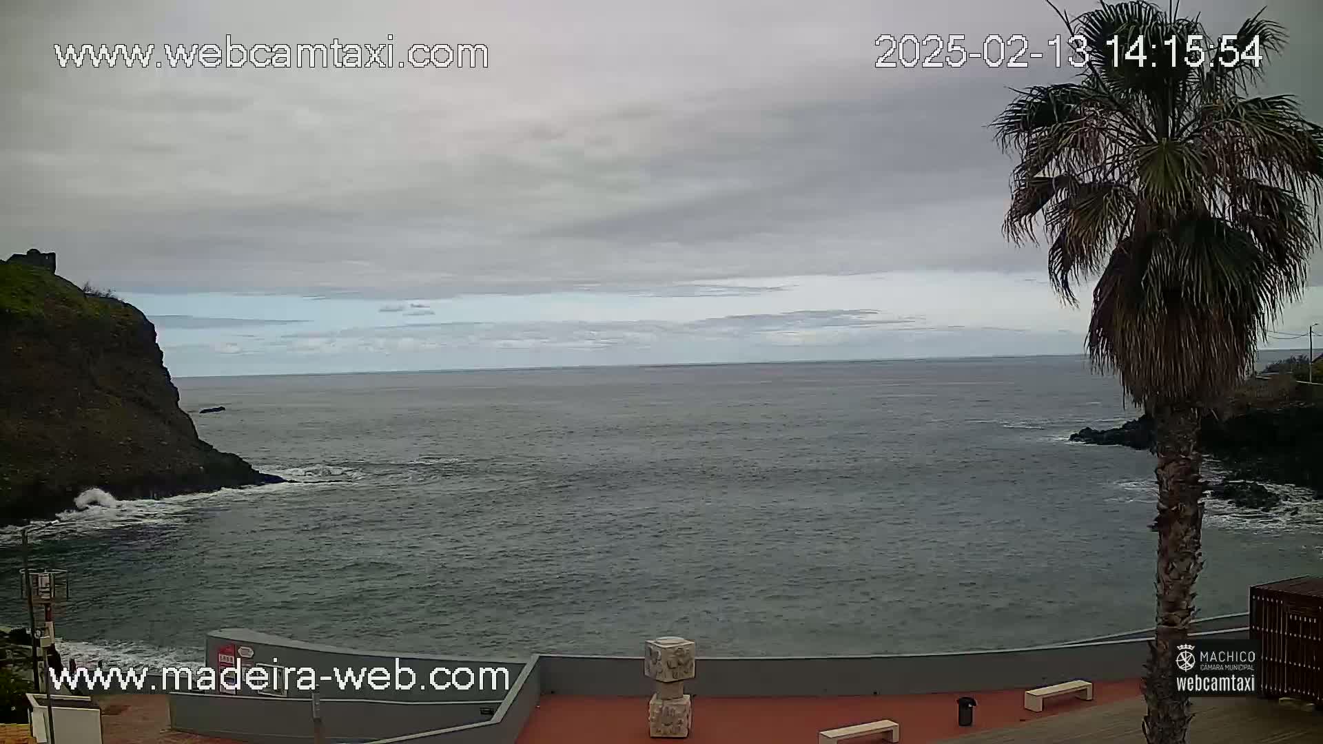 A dark-grey, overcast sky hangs over a rocky coastline where dark-grey ocean meets a dark-grey shore, a lone palm tree standing nearby.