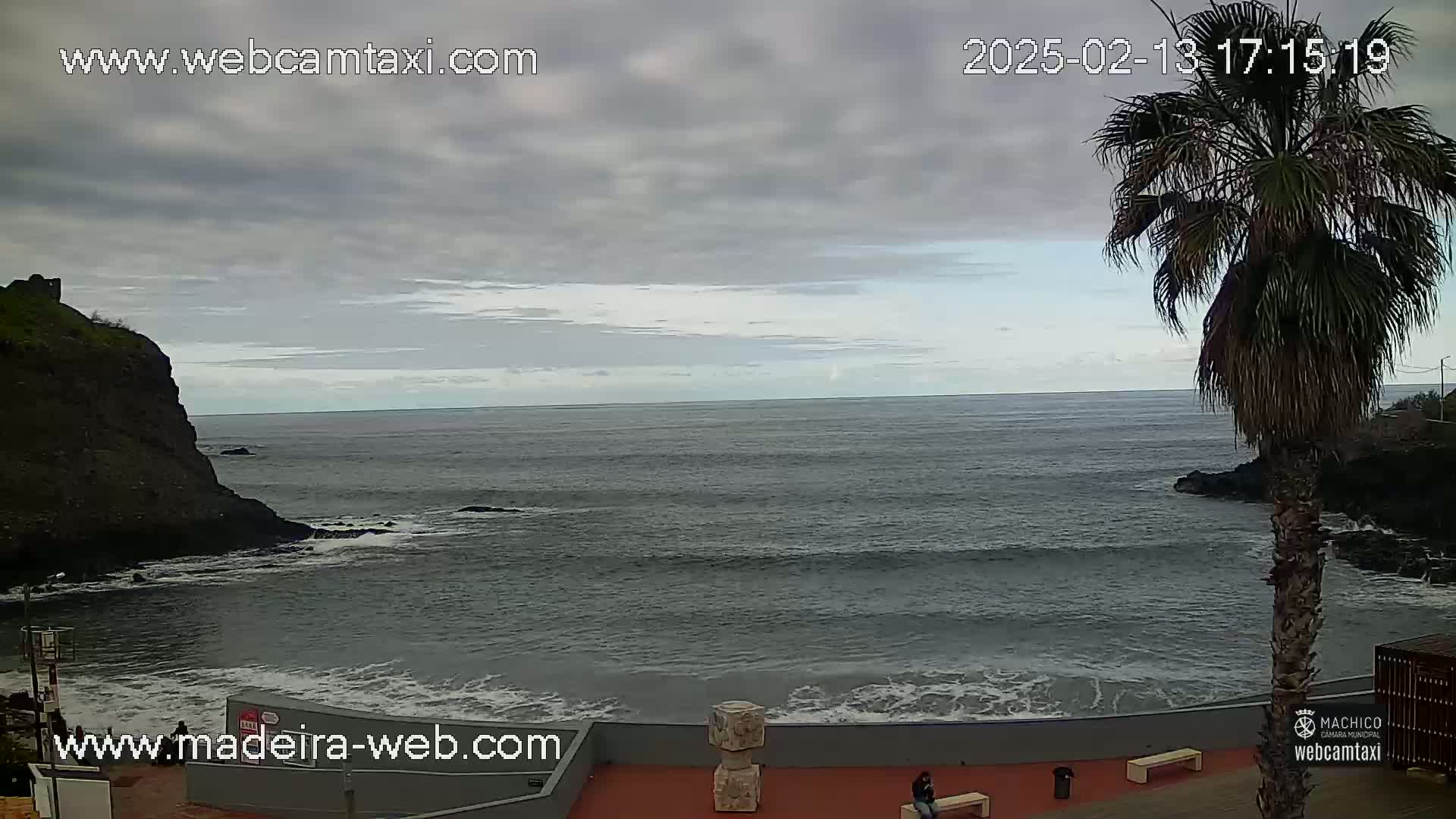 A partly cloudy day shows a rocky coast with a dark-grey ocean; small waves break against the shore near a palm tree.