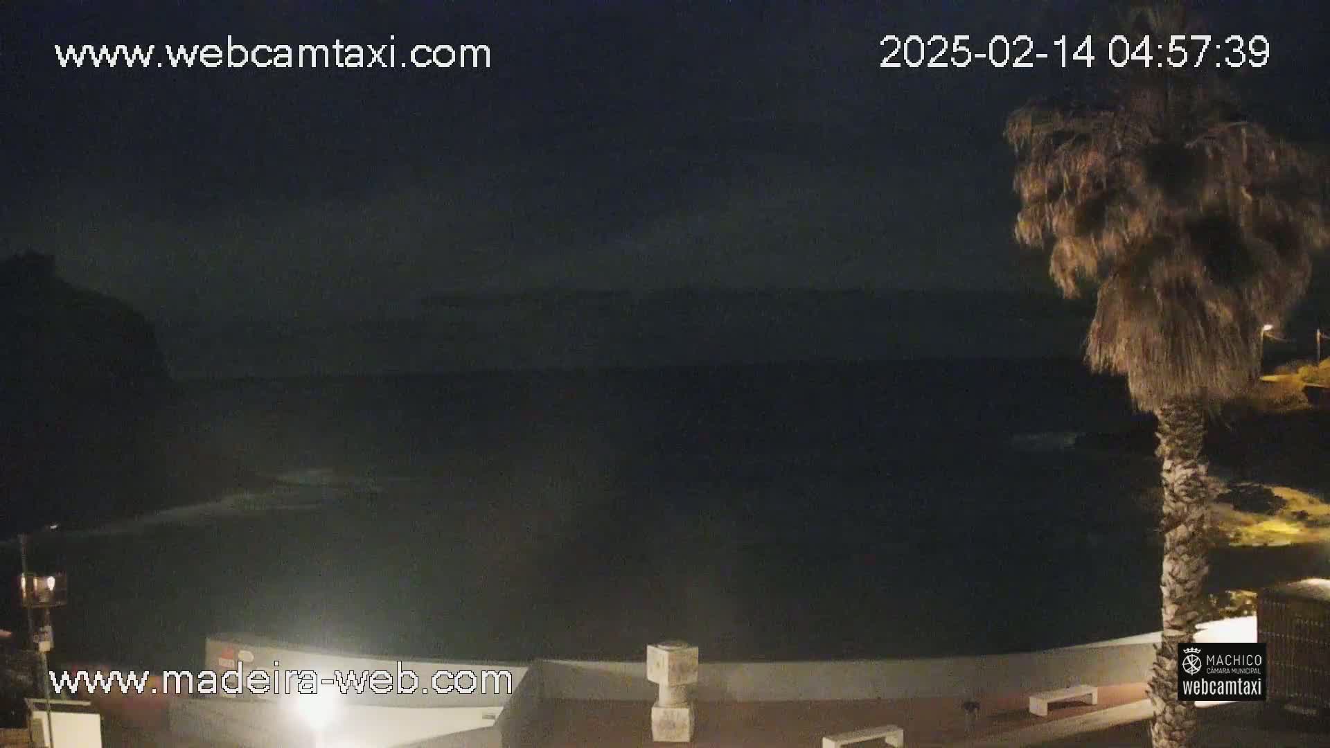 A nighttime view of a dark ocean under a mostly clear sky, with a palm tree in the foreground and a low wall along the water's edge.