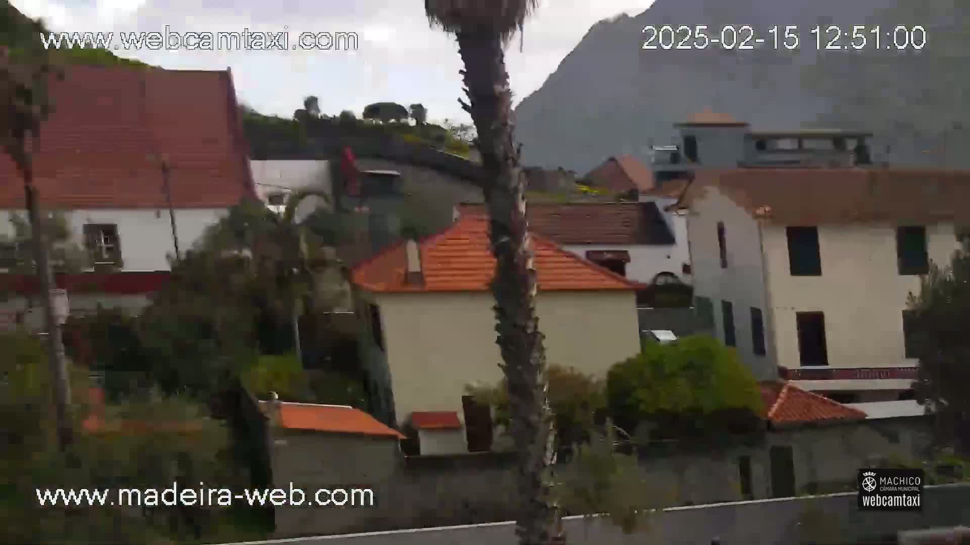 A view of a village nestled against a mountainside on an overcast day, with several buildings with red tile roofs visible, and a tall palm tree in the foreground.