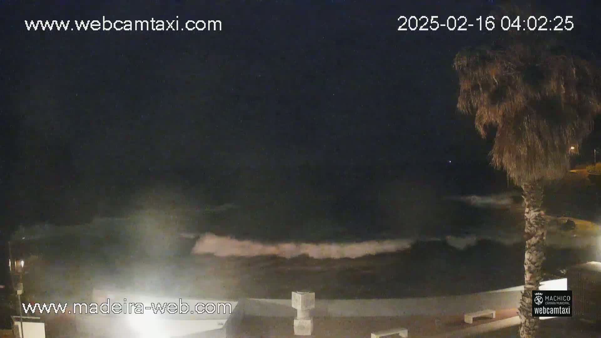 Large waves crash against a shoreline at night under a dark sky, near a palm tree.