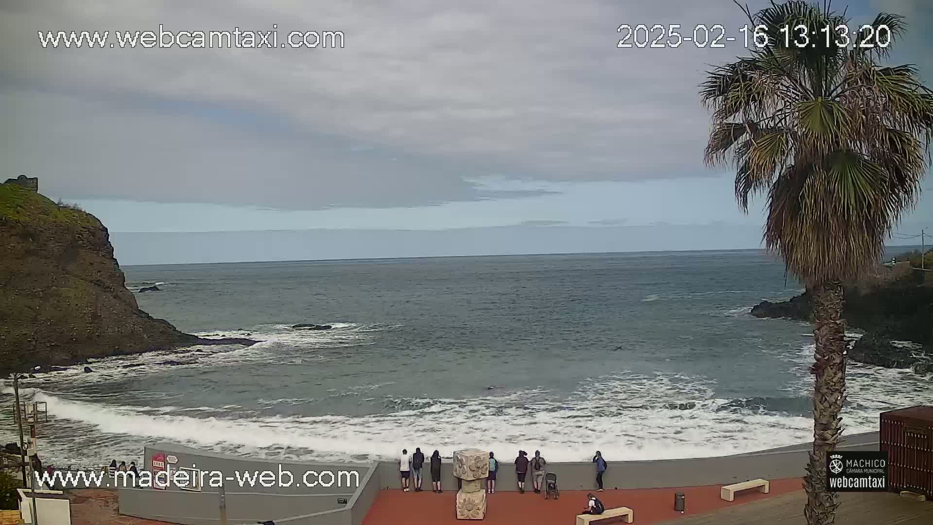 A cloudy day shows a rocky coastline with a dark-grey ocean where small waves are breaking near a shore with several people standing and sitting on a red paved area, next to a palm tree.