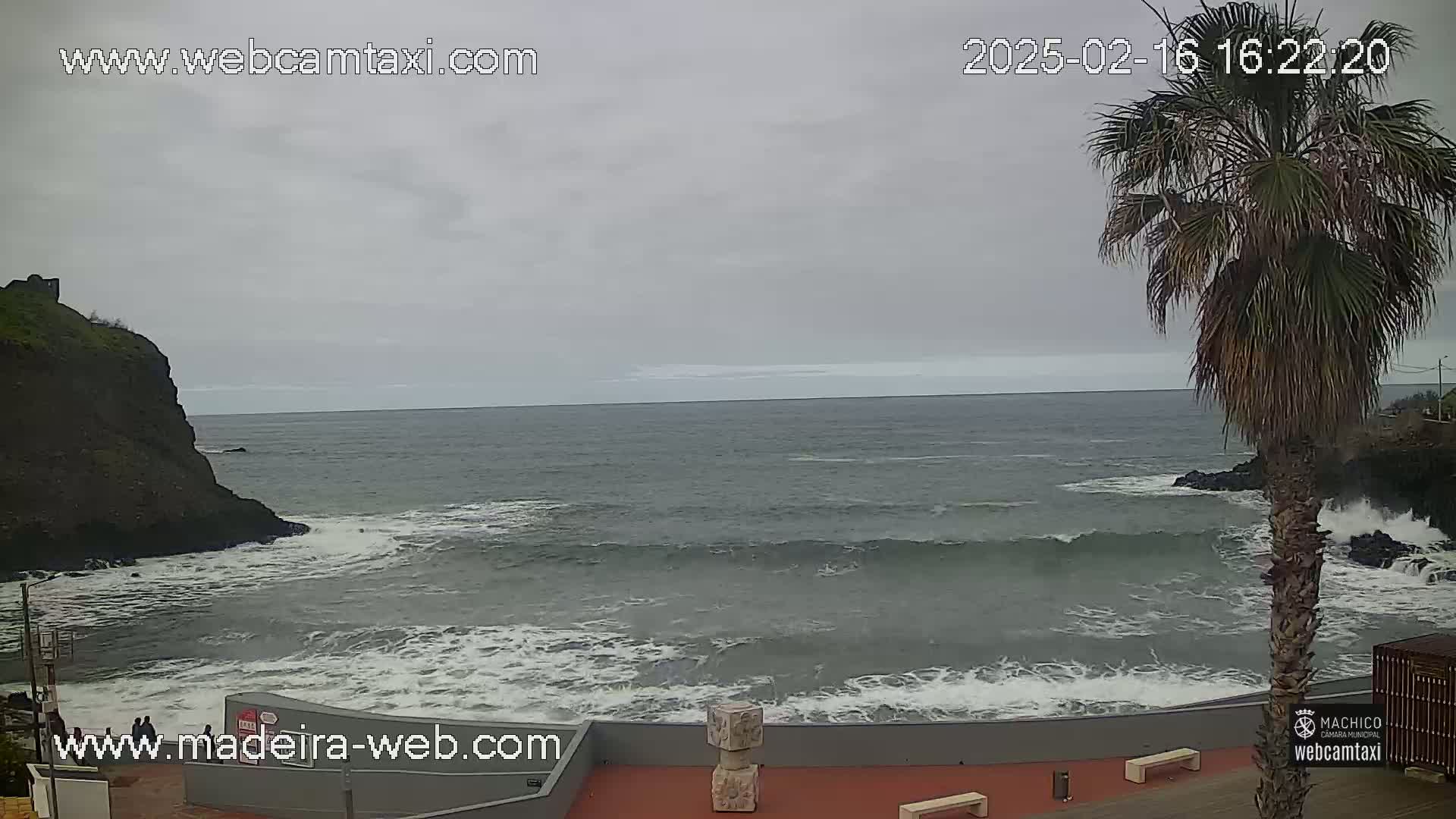 A rocky coast with a palm tree is shown, featuring a gray, overcast sky and moderately sized waves crashing against the shore.