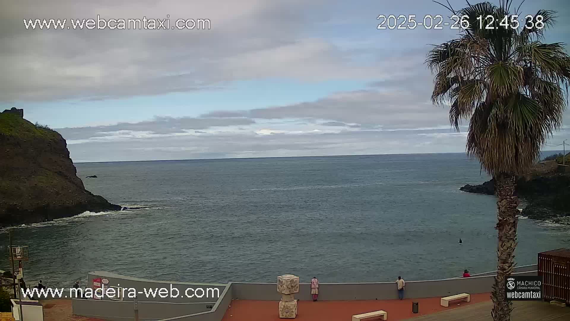 A partly cloudy day overlooks a calm ocean meeting dark volcanic rock, with a few people standing along a seawall near a tall palm tree.