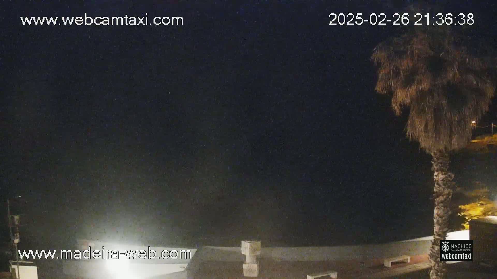 A nighttime outdoor scene shows a dark sky, a palm tree, and a portion of a building under slightly hazy conditions.