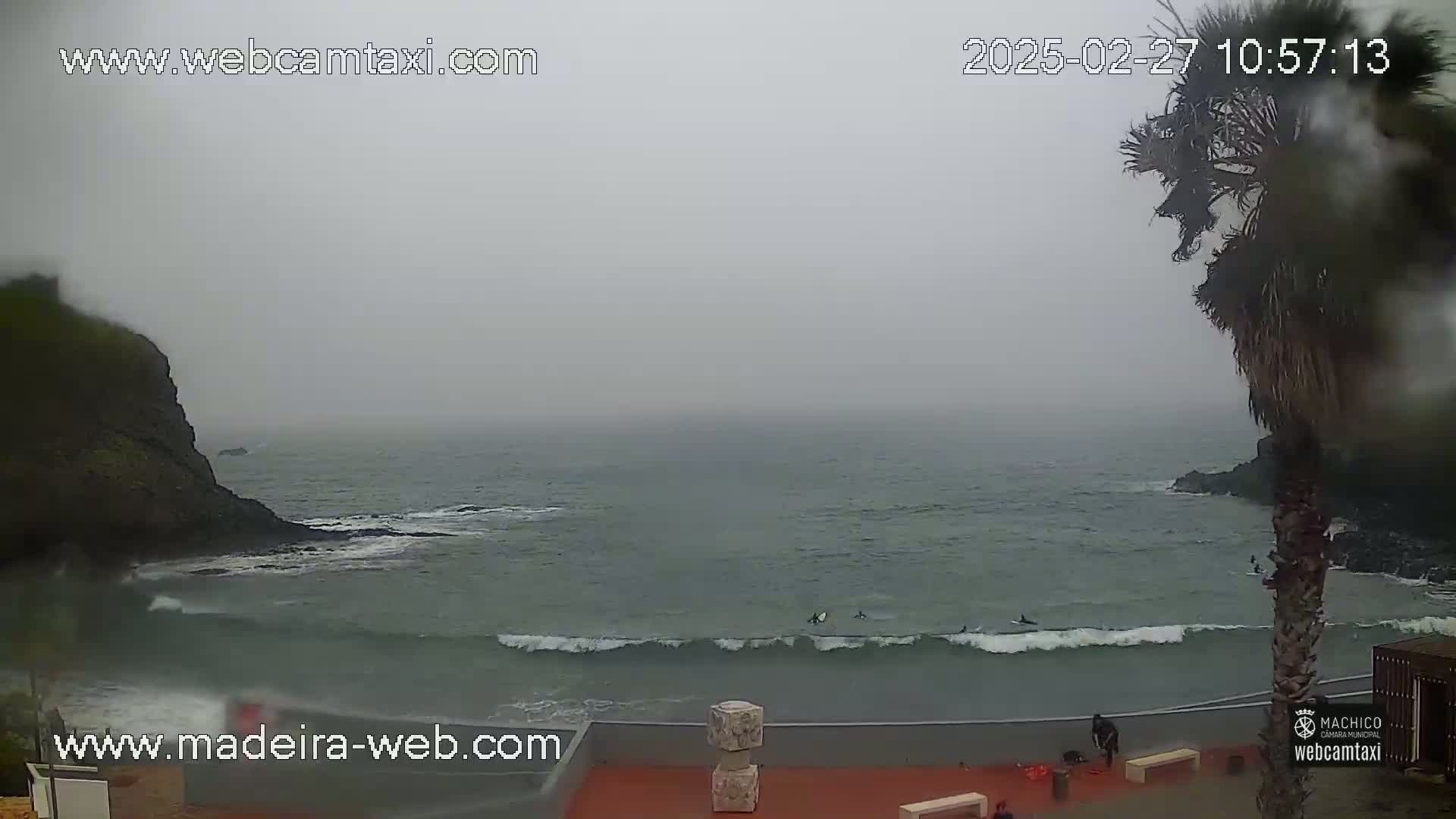 A foggy ocean scene shows several surfers in the water near a rocky shore with a palm tree in the foreground.