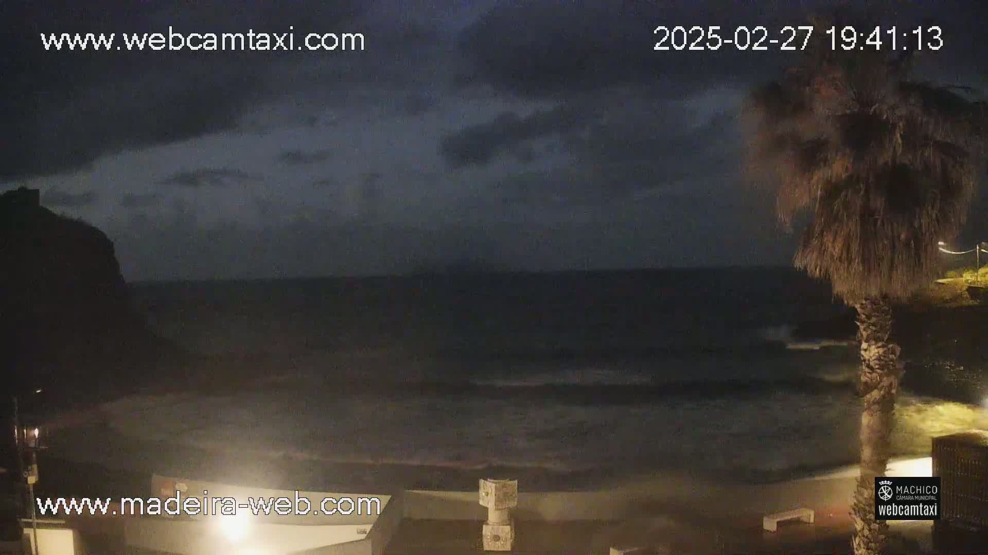 A nighttime view of a dark ocean with gentle waves under a cloudy sky, partially illuminated by light sources along a shoreline with a palm tree.