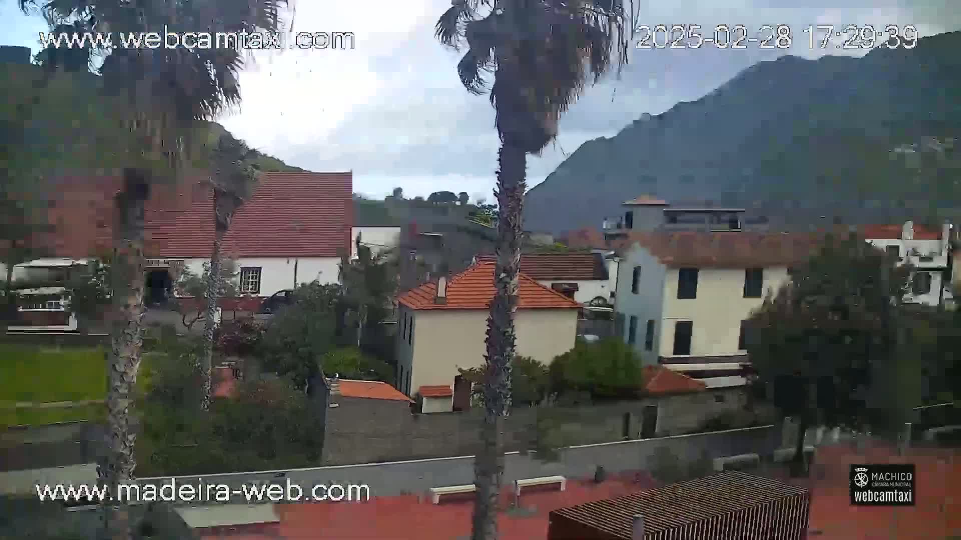 A cloudy day reveals a village nestled against a mountainside, with palm trees swaying in the breeze.