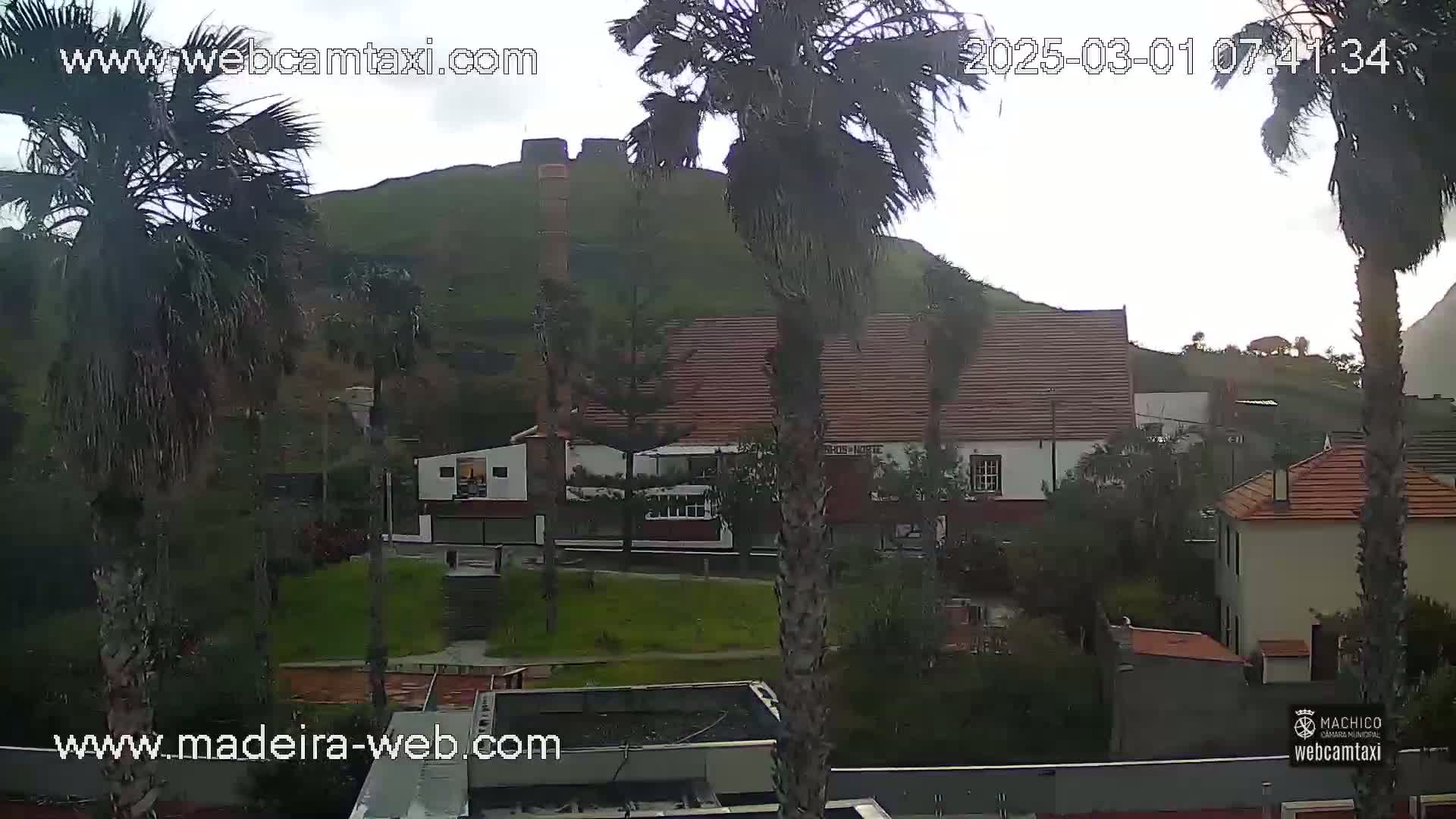 A windy day reveals a village scene with palm trees swaying near buildings nestled against a green hill, featuring a structure resembling a chimney or tower.