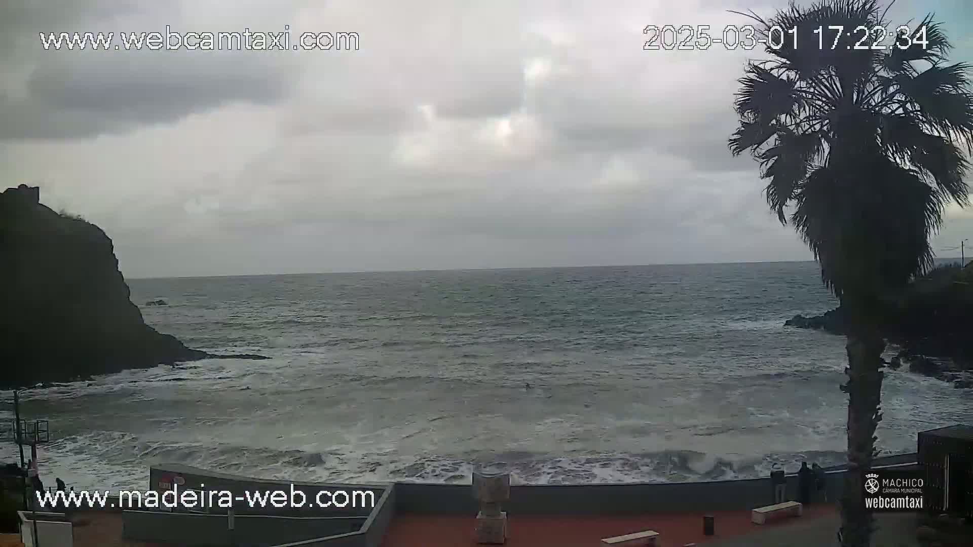 A rocky coast with a palm tree in the foreground is shown under an overcast sky, with somewhat choppy waves breaking against the shore.