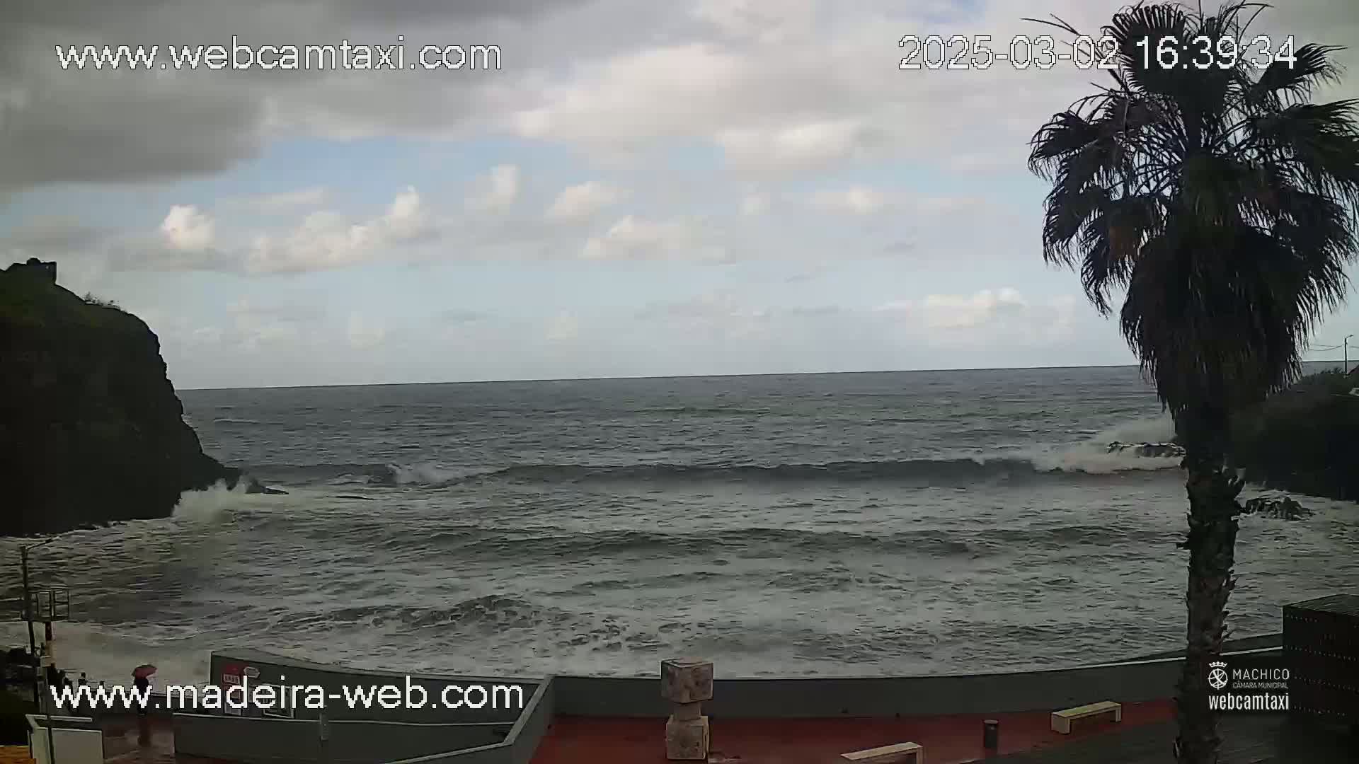 A partly cloudy day shows a rocky coast with crashing waves and a palm tree in the foreground.