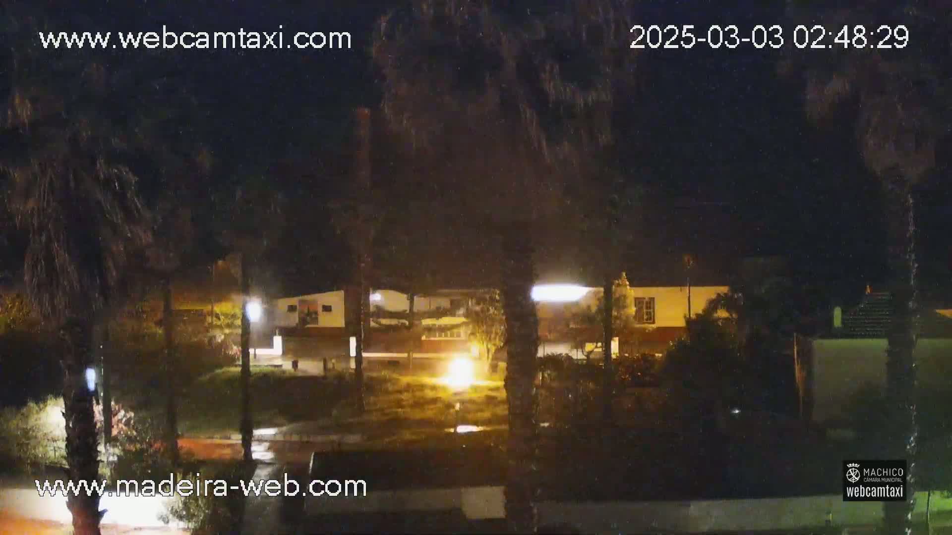 A nighttime view of a street scene shows a building illuminated by lights, with palm trees and other vegetation visible under a dark sky.