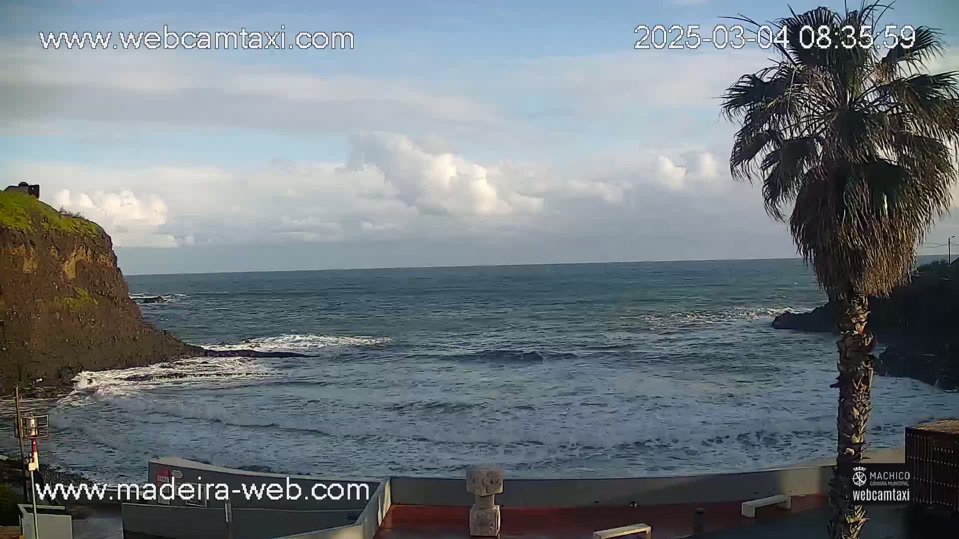 A partly cloudy day shows a rocky coastline with a palm tree in the foreground and ocean waves breaking near a dark cliff.