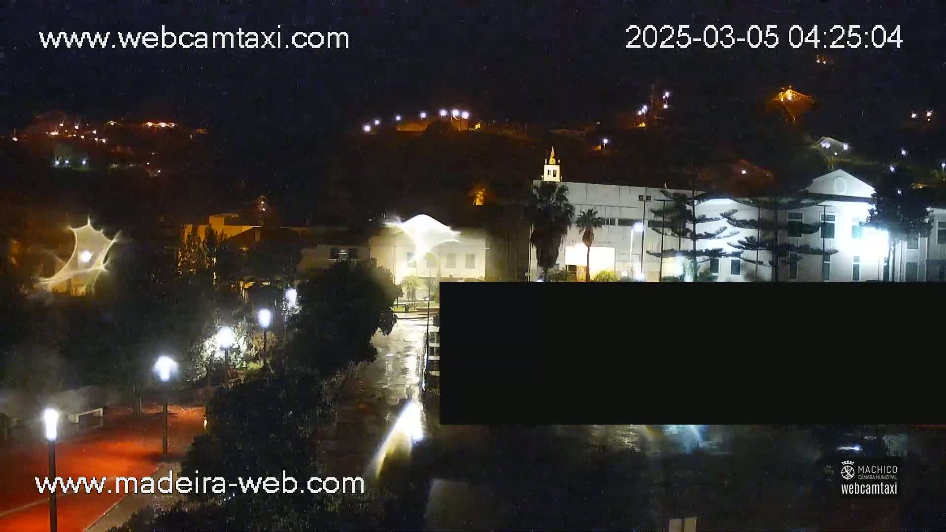 A nighttime, rainy view of a town with buildings illuminated, streetlights, and palm trees.