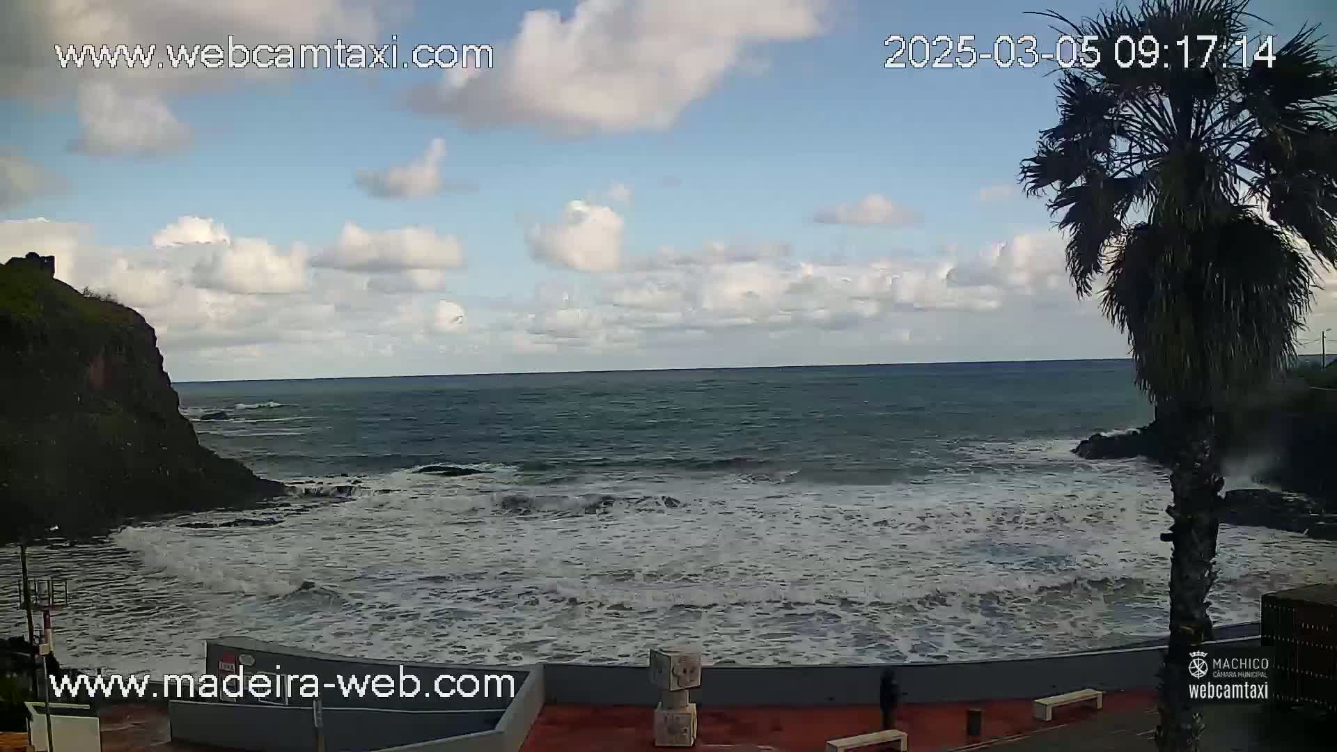 A partly cloudy day shows a rocky coastline with waves crashing against the shore, a palm tree stands in the foreground.