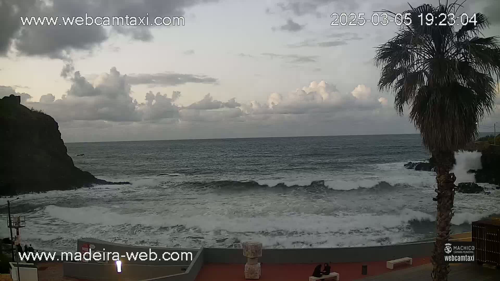 A partly cloudy evening sky overlooks a rocky coastline with moderate waves crashing against the shore, a palm tree stands nearby.