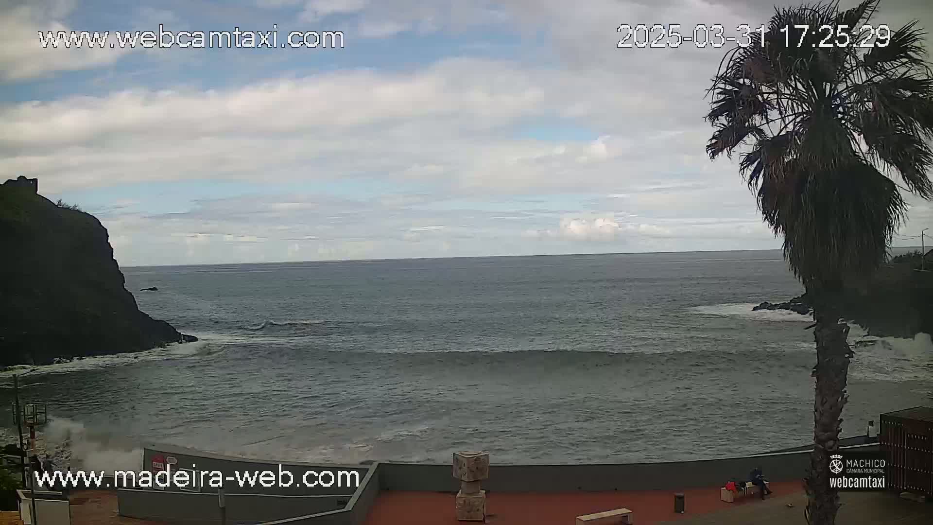 A partly cloudy day shows a dark-colored rocky coast with a palm tree and a calm ocean with small waves breaking against the shore.