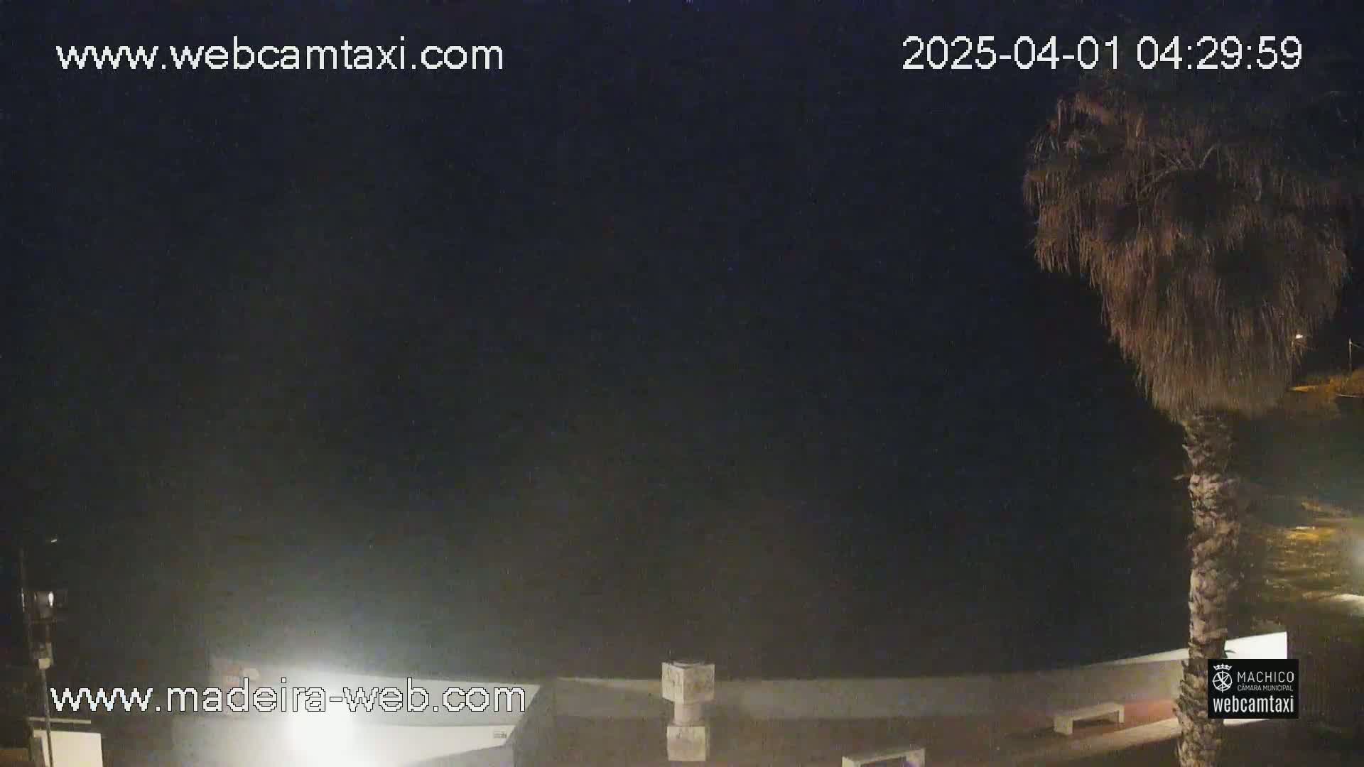 A nighttime view of a palm tree, part of a building, and a dark sky.