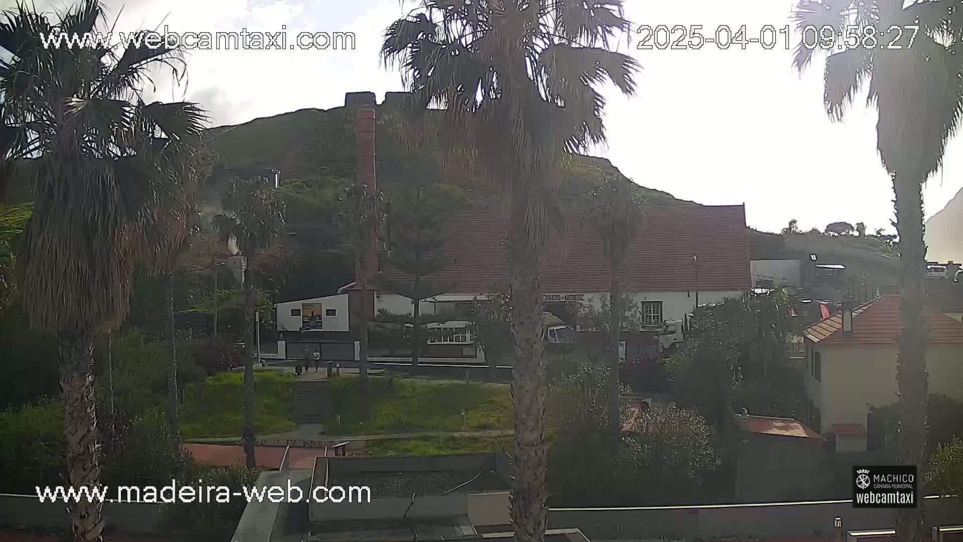 A view of buildings and palm trees on a slightly hazy day, with a hill in the background.