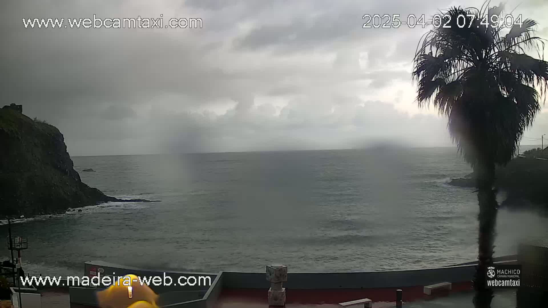 A dark, overcast day shows a rocky coastline with a choppy ocean; a palm tree stands in the foreground.