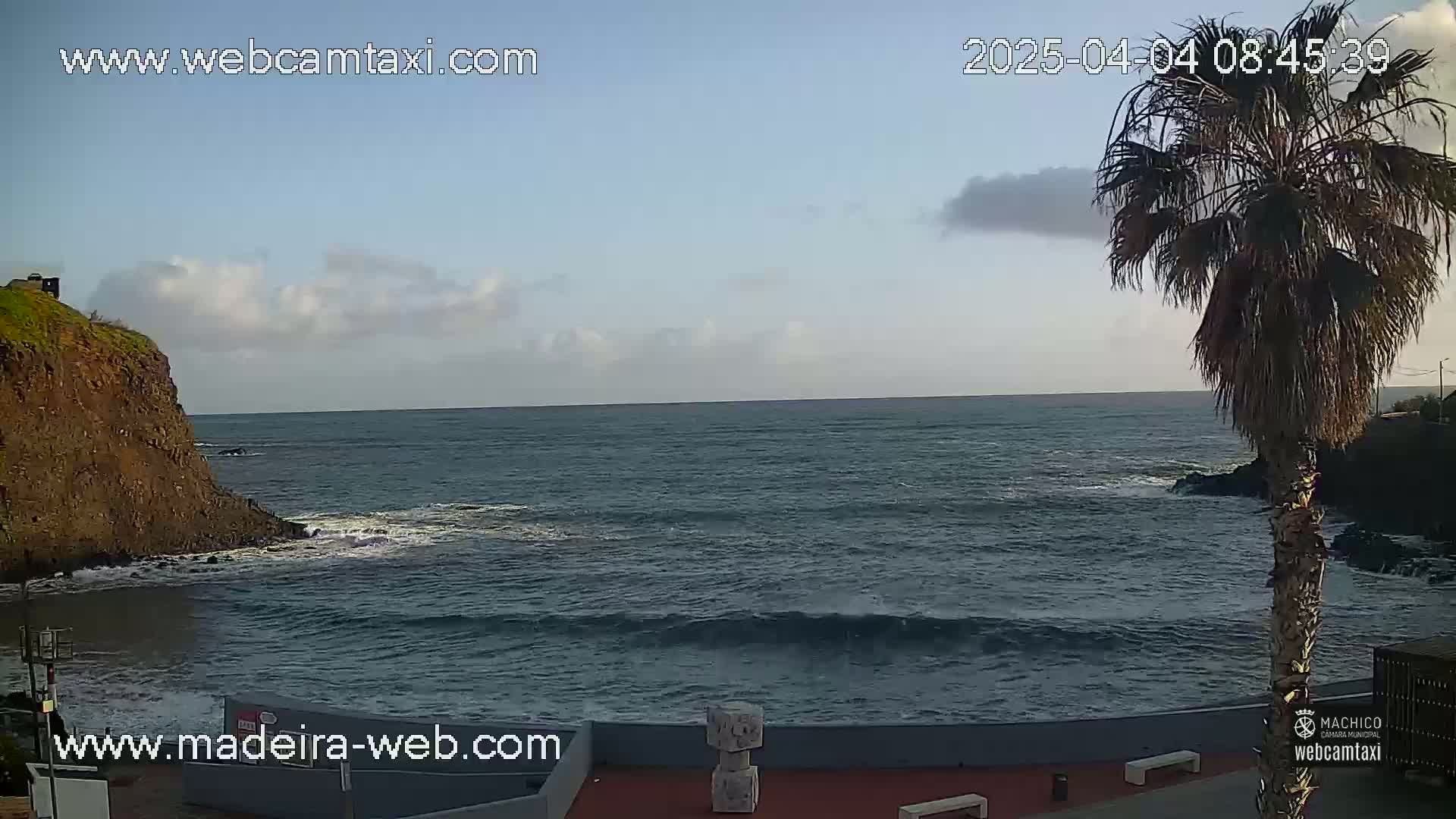 A partly cloudy day shows a rocky coastline with a palm tree and ocean waves lapping at the shore.
