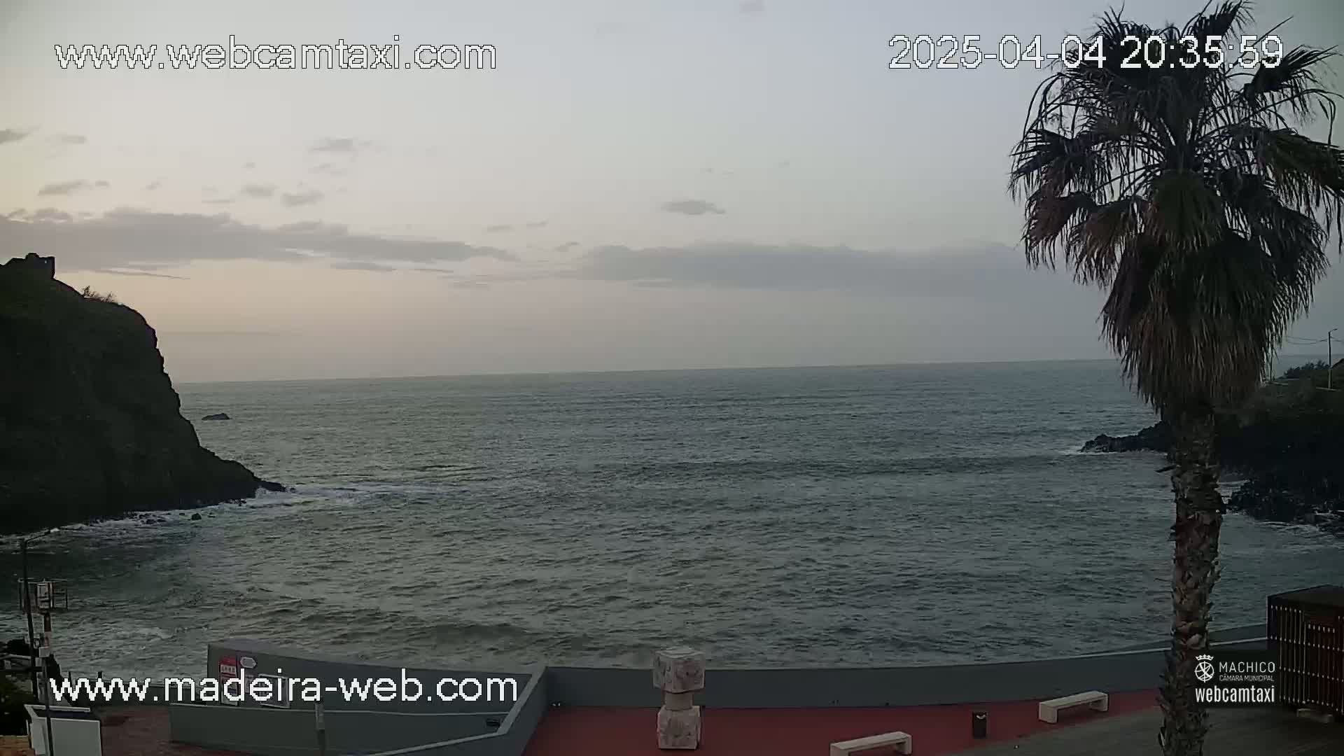 A rocky coast meets a dark, somewhat choppy ocean under an overcast sky, with a palm tree in the foreground.