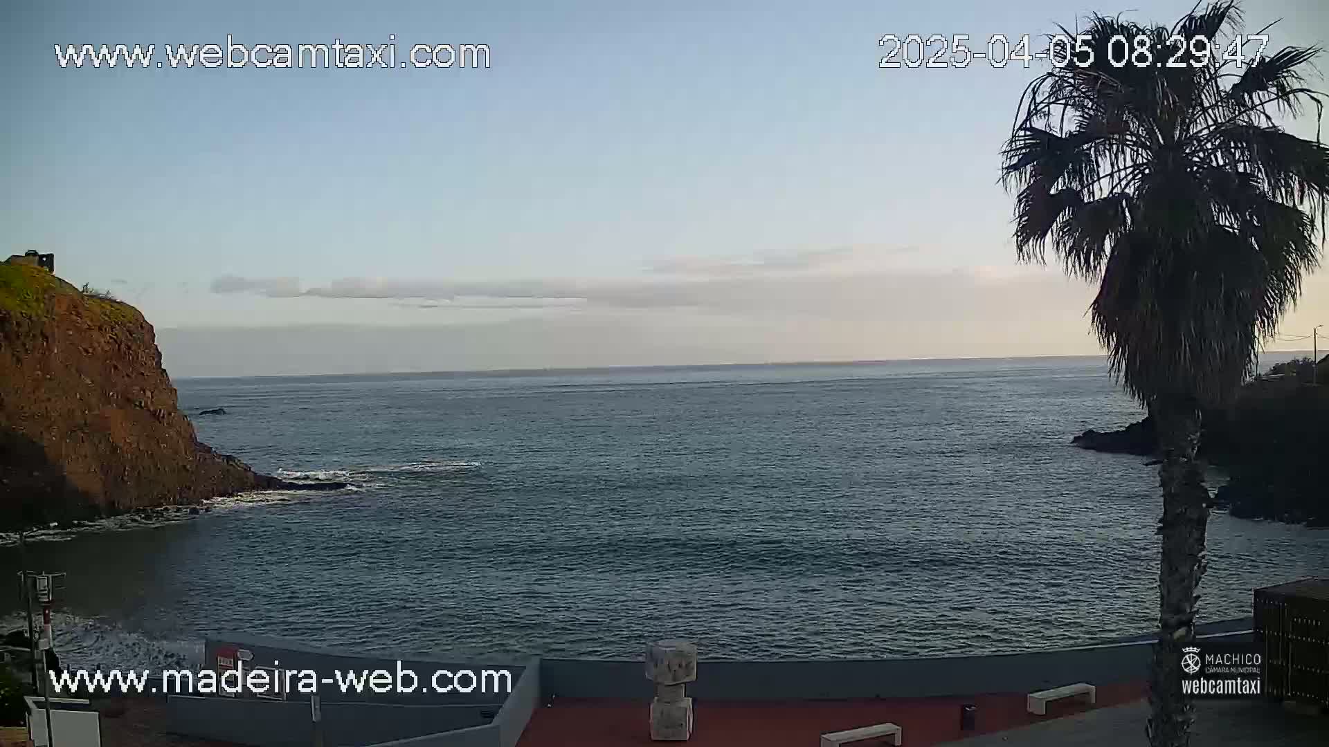 A calm ocean with a rocky shoreline and a palm tree in the foreground under a partly cloudy sky.