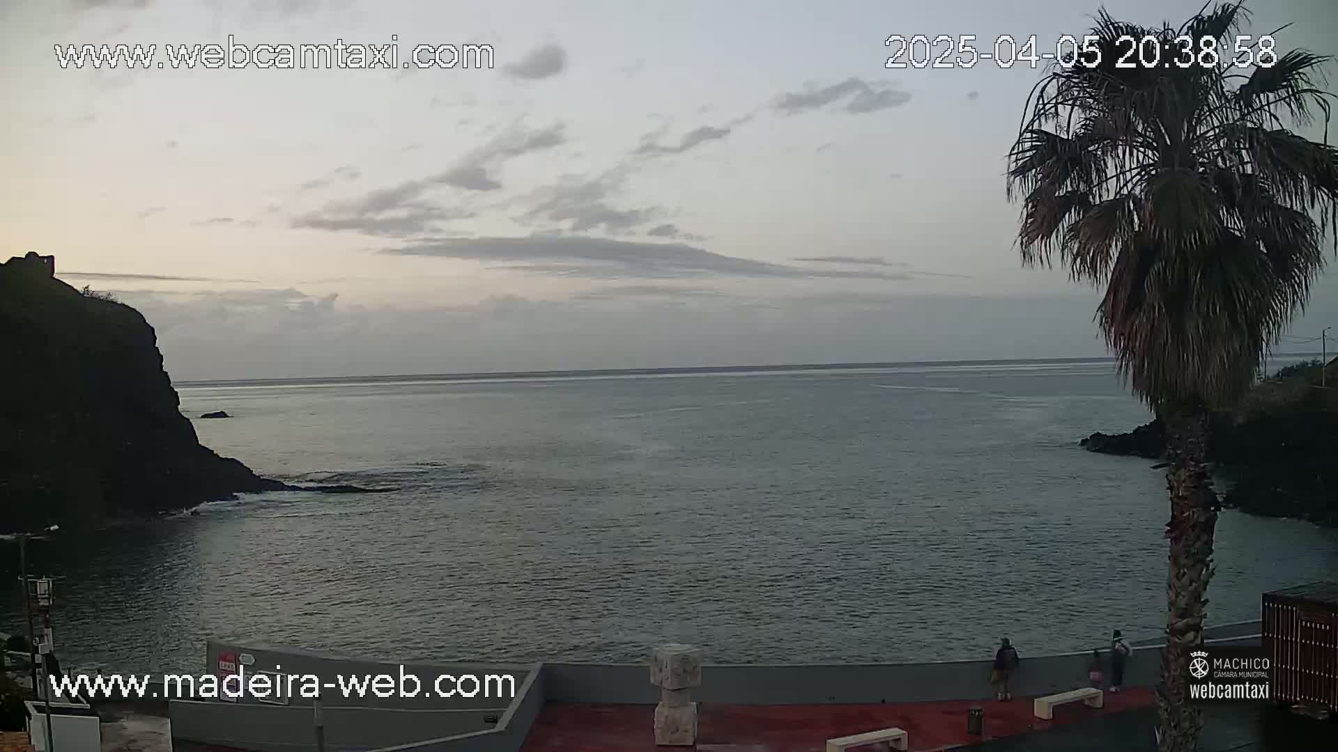 A calm ocean scene at dusk shows a rocky shore with a palm tree, a few people walking along a wall, and a distant dark cliff.