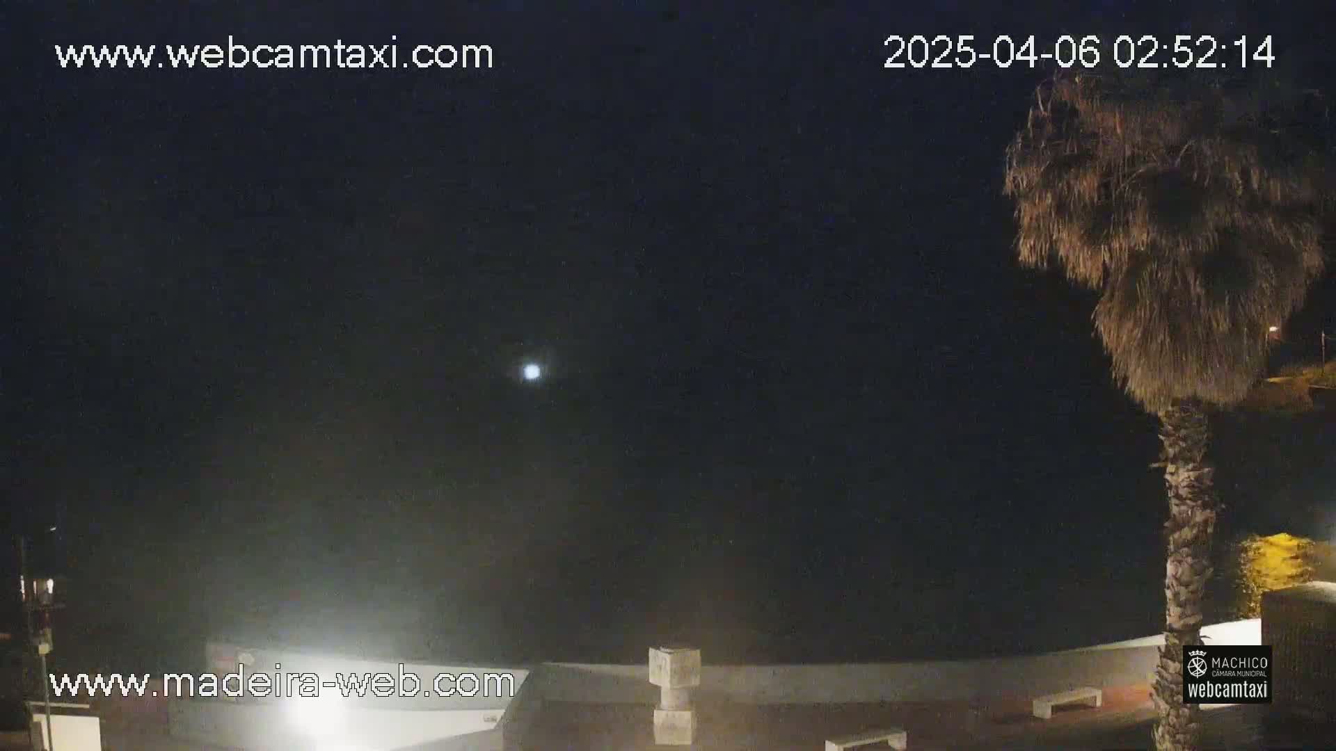A nighttime view shows a bright moon in a dark sky, a palm tree silhouetted against the darkness, and some structures partially visible in the lower portion of the image.