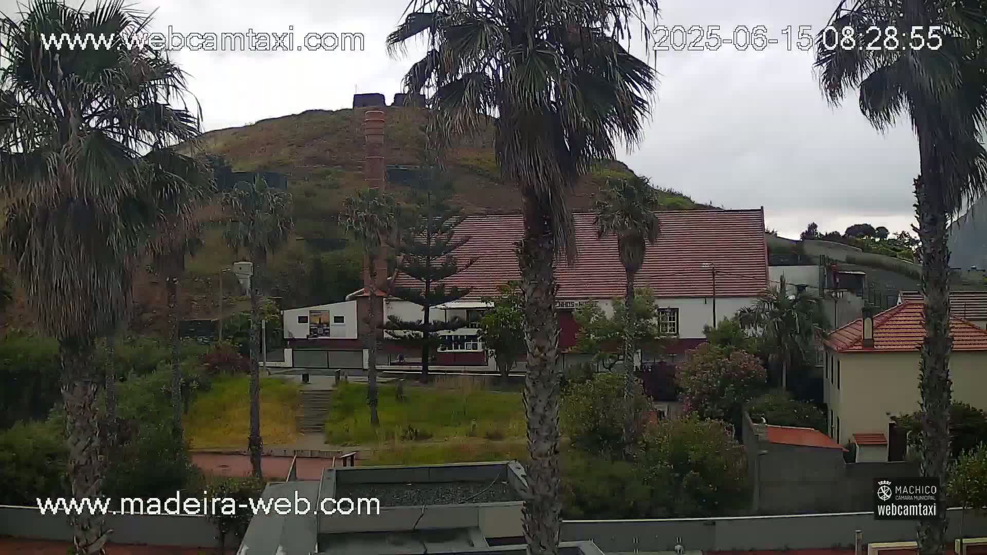 A view of buildings with red tile roofs nestled among palm trees on a hillside under an overcast sky.
