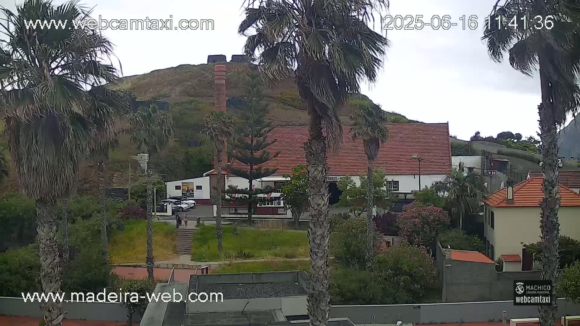 A view of buildings and palm trees on a hill under an overcast sky.