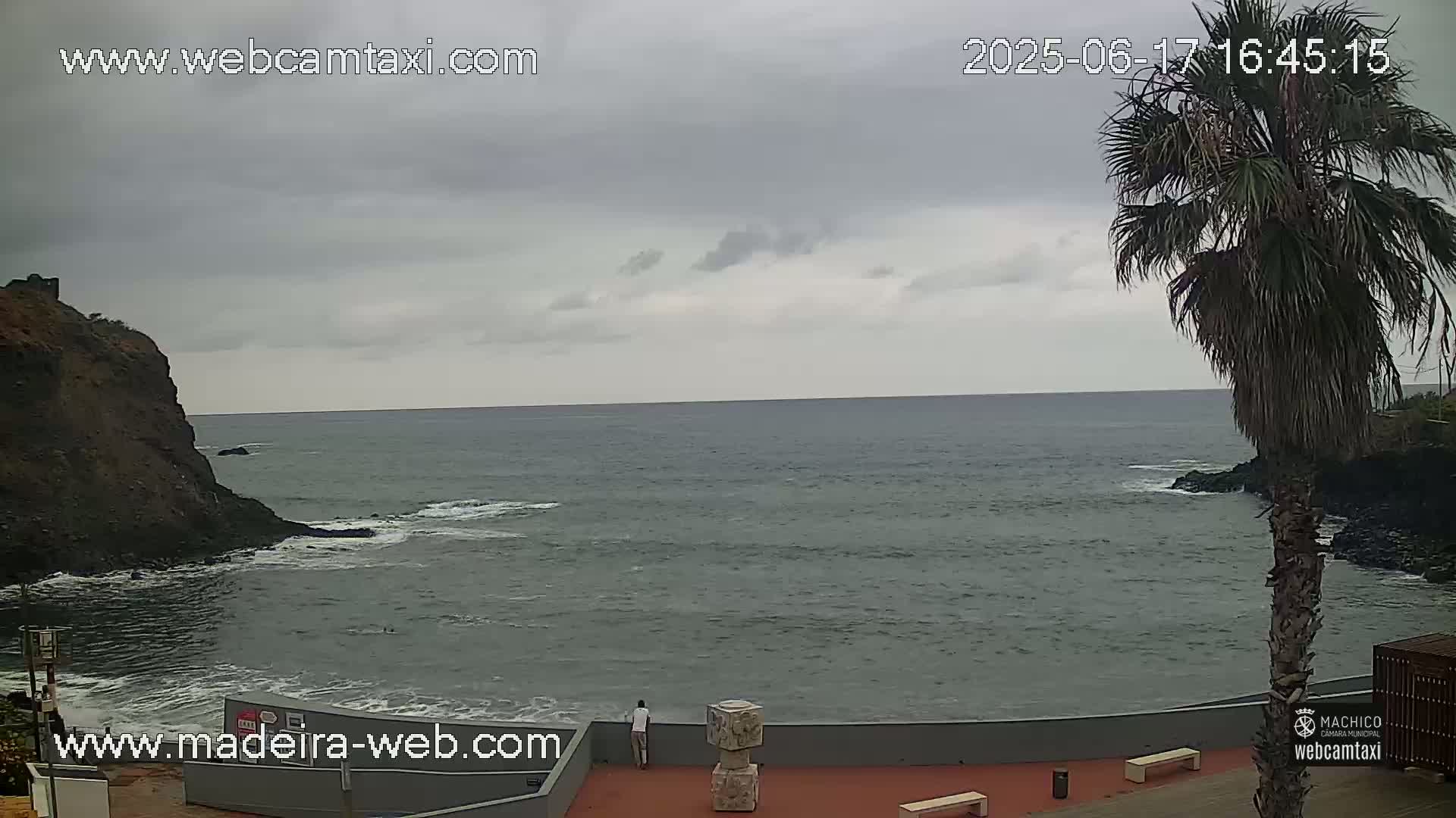 A person stands by a low wall overlooking a calm, grey ocean under an overcast sky, near a palm tree and a rocky outcrop.