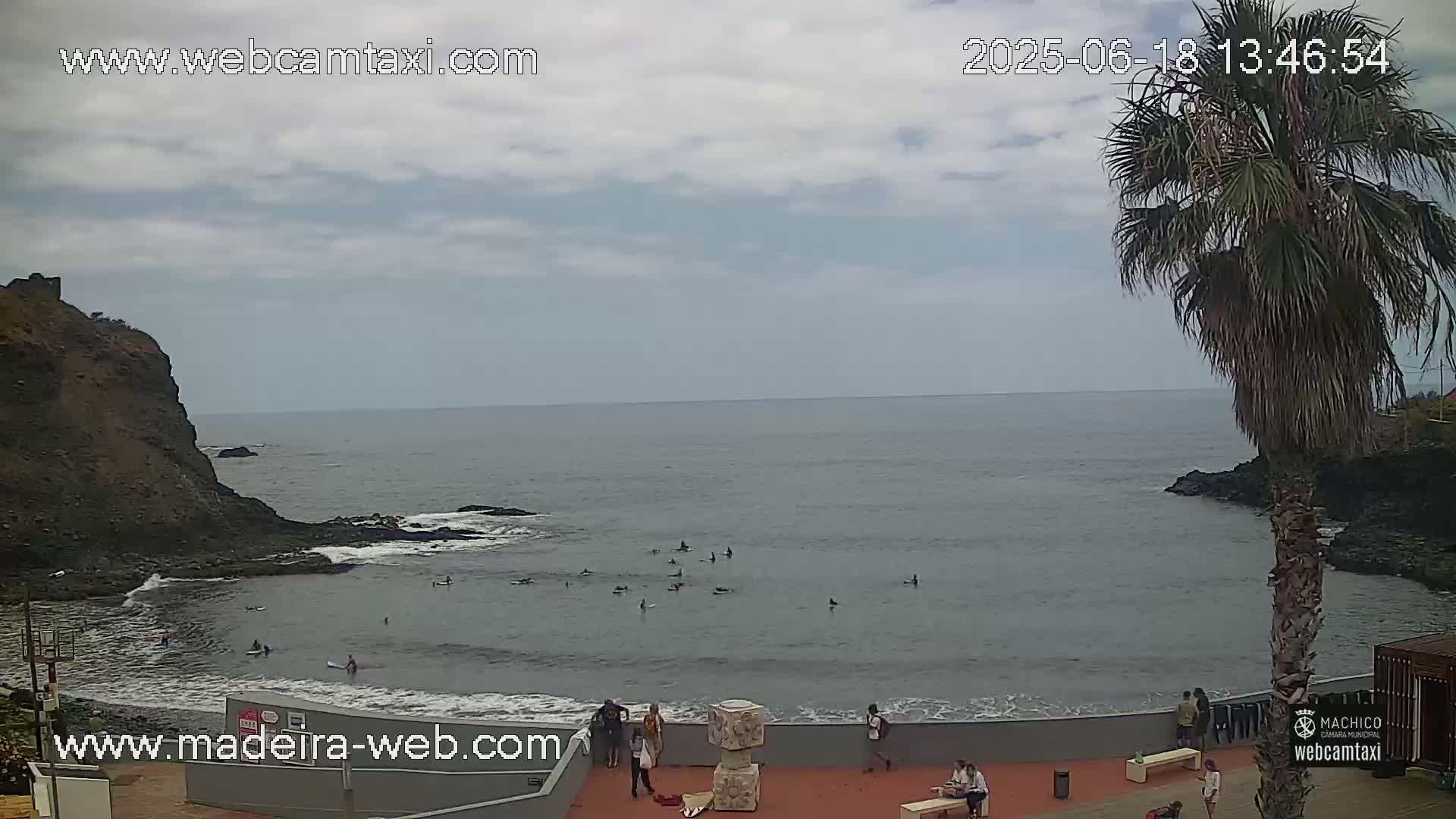 A calm ocean bay with several surfers, viewed from a seaside overlook on a partly cloudy day, with a palm tree in the foreground.