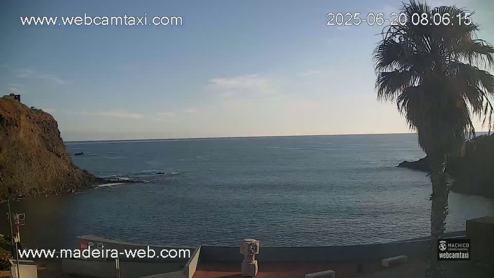 A calm ocean meets a rocky cliff under a mostly clear sky, with a palm tree in the foreground.