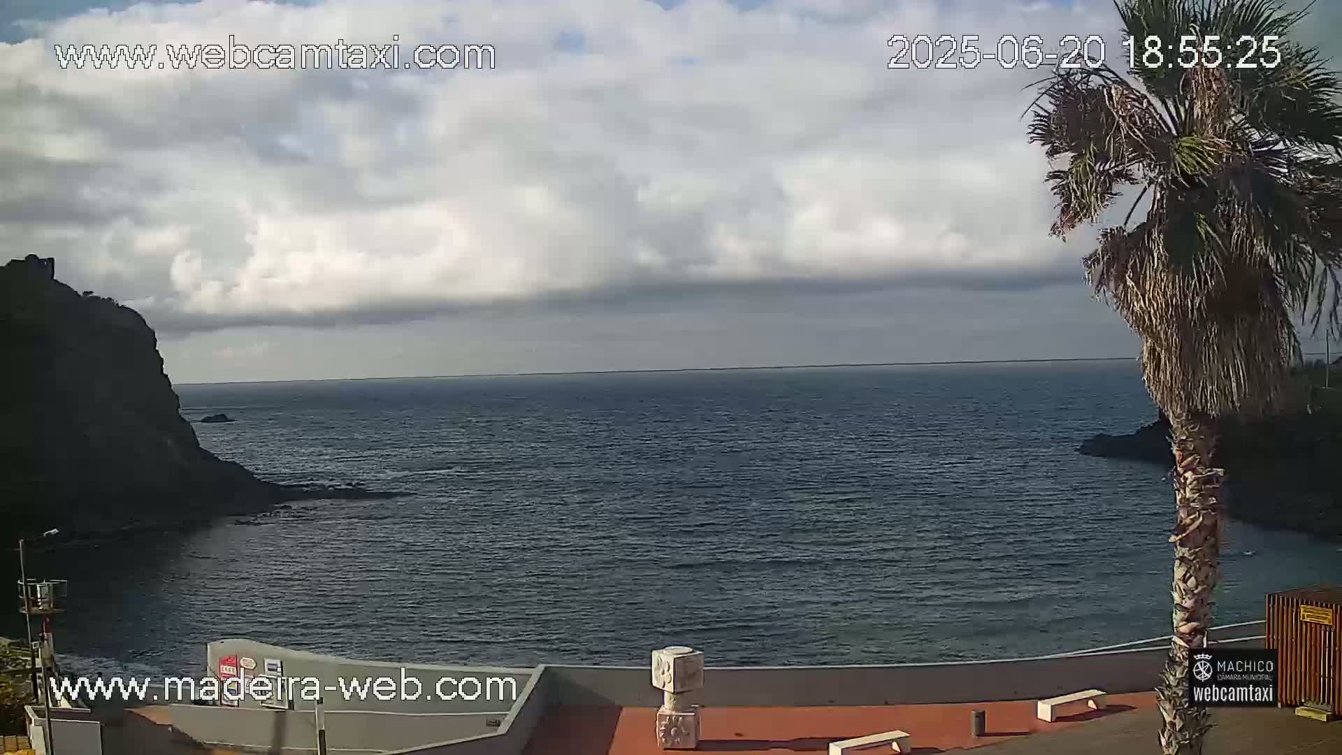 A partly cloudy day shows a dark-colored rocky coastline meeting a calm, dark-blue ocean, with a palm tree in the foreground.