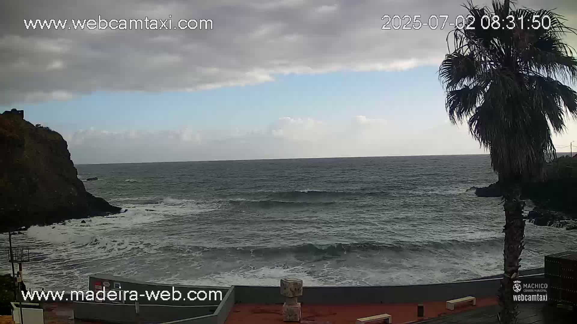A partly cloudy day shows a rocky shoreline with moderate waves crashing against dark-colored rocks, a palm tree in the foreground, and a calm ocean extending to the horizon.