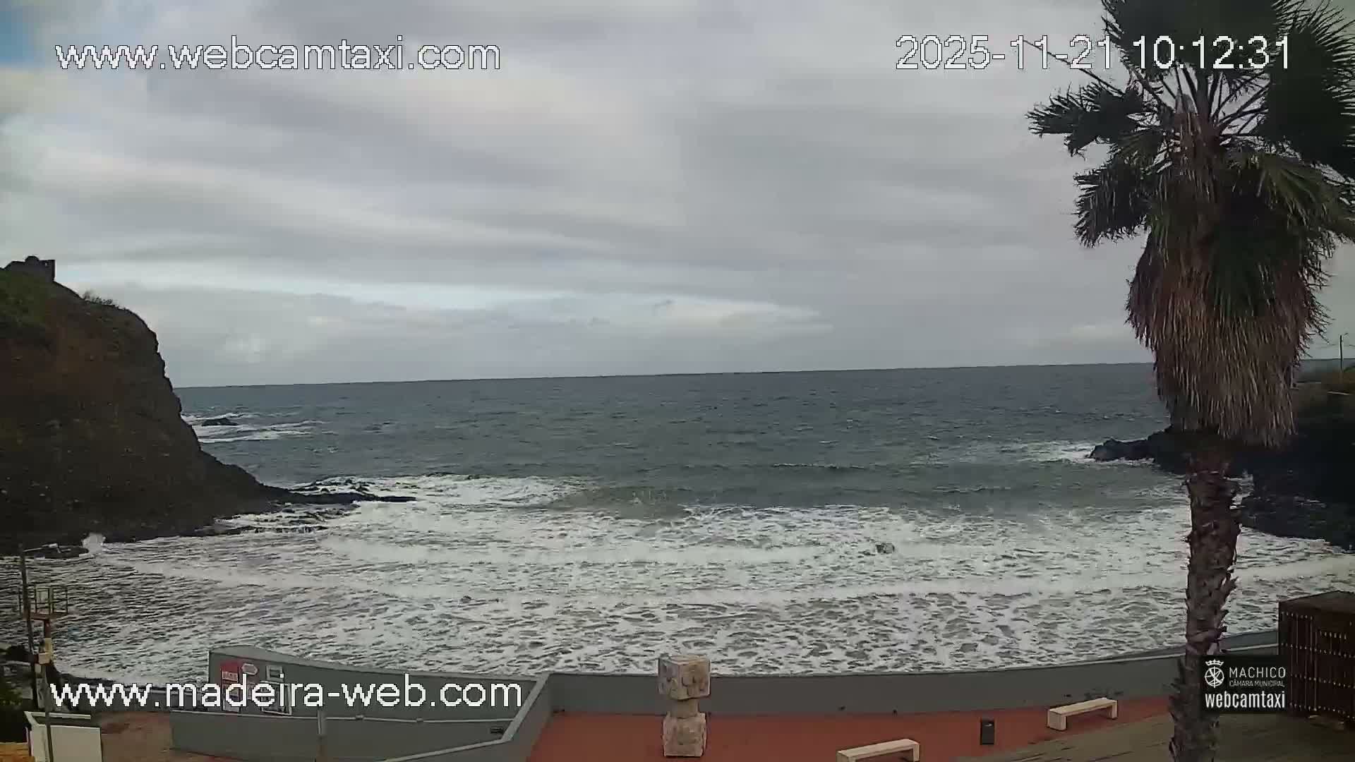 On a cloudy day, a choppy ocean with waves breaking against a rocky coastline is visible, featuring a steep cliff on the left, a large palm tree on the right, and a paved waterfront area with benches in the foreground.